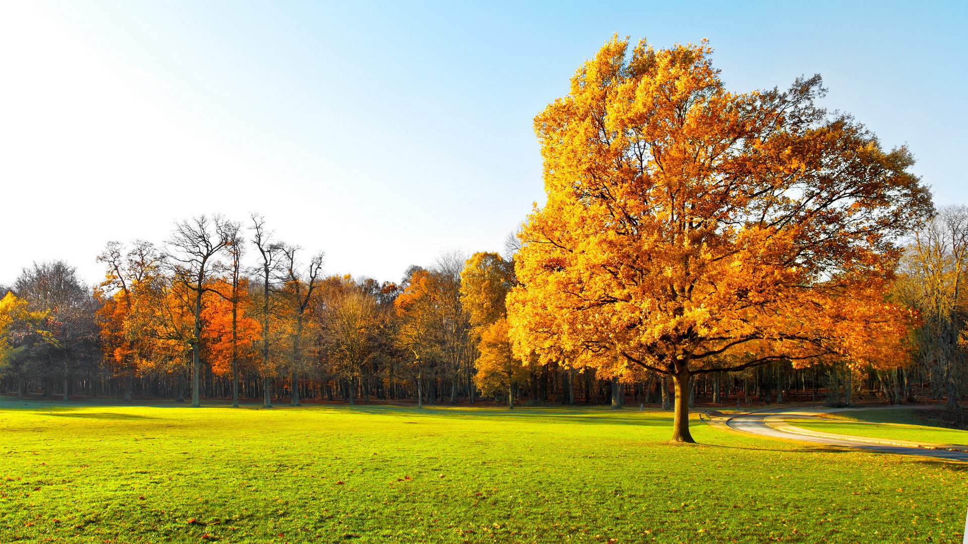 Descarga gratuita de fondo de pantalla para móvil de Otoño, Tierra/naturaleza.