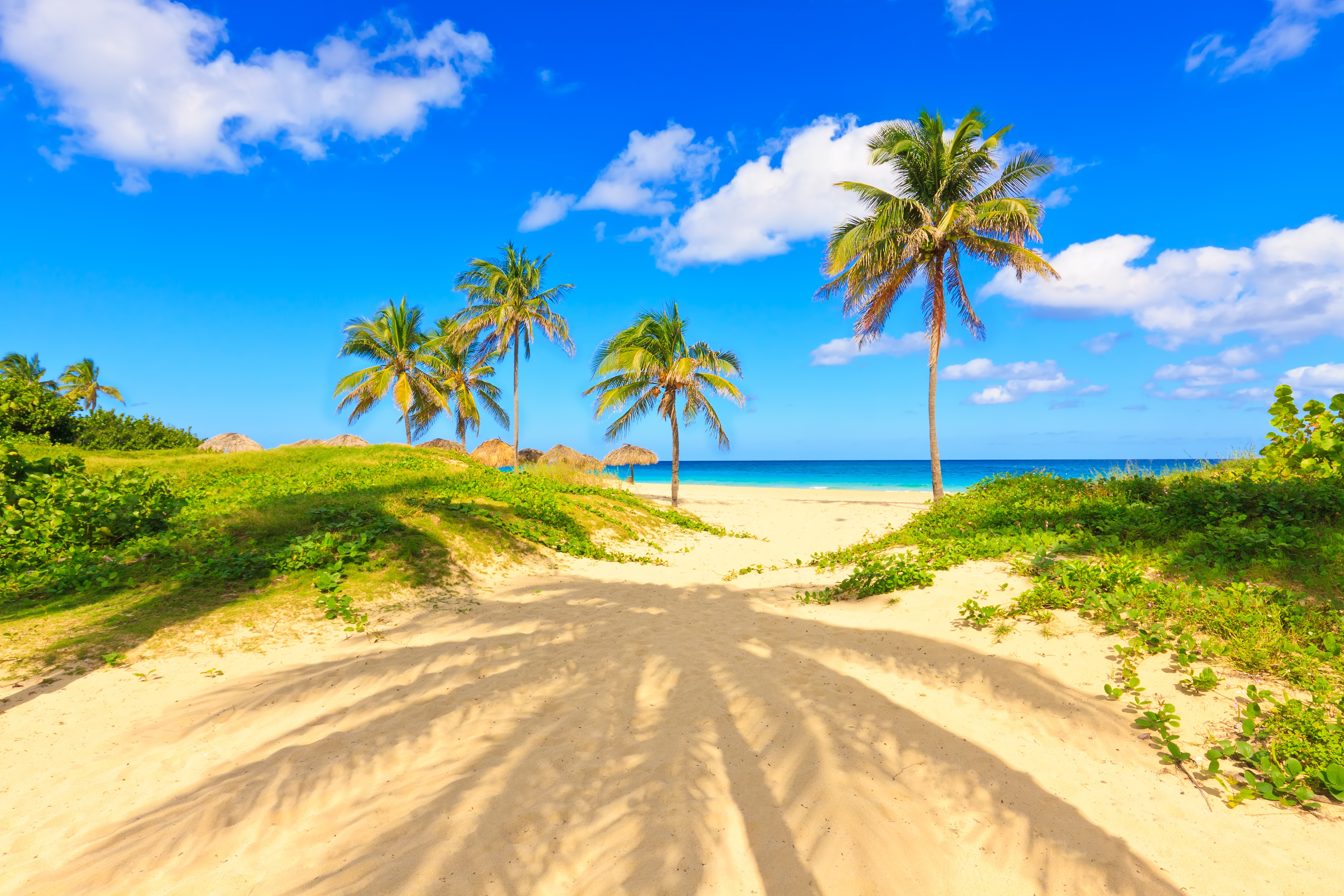 Скачать картинку Пляж, Пальмы, Горизонт, Тропический, Фотографии в телефон бесплатно.