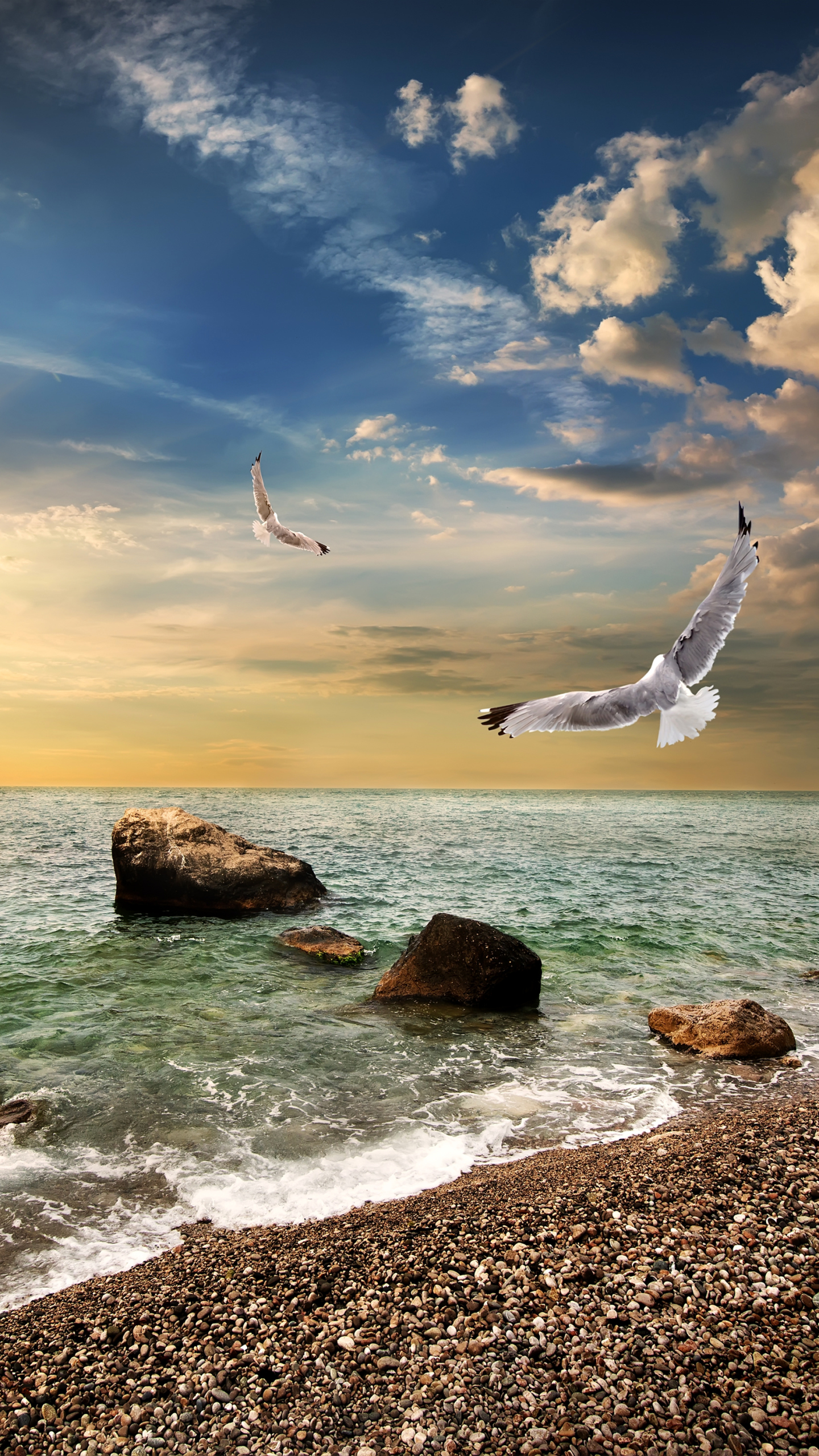 Download mobile wallpaper Sunset, Sea, Beach, Horizon, Ocean, Earth, Seagull for free.