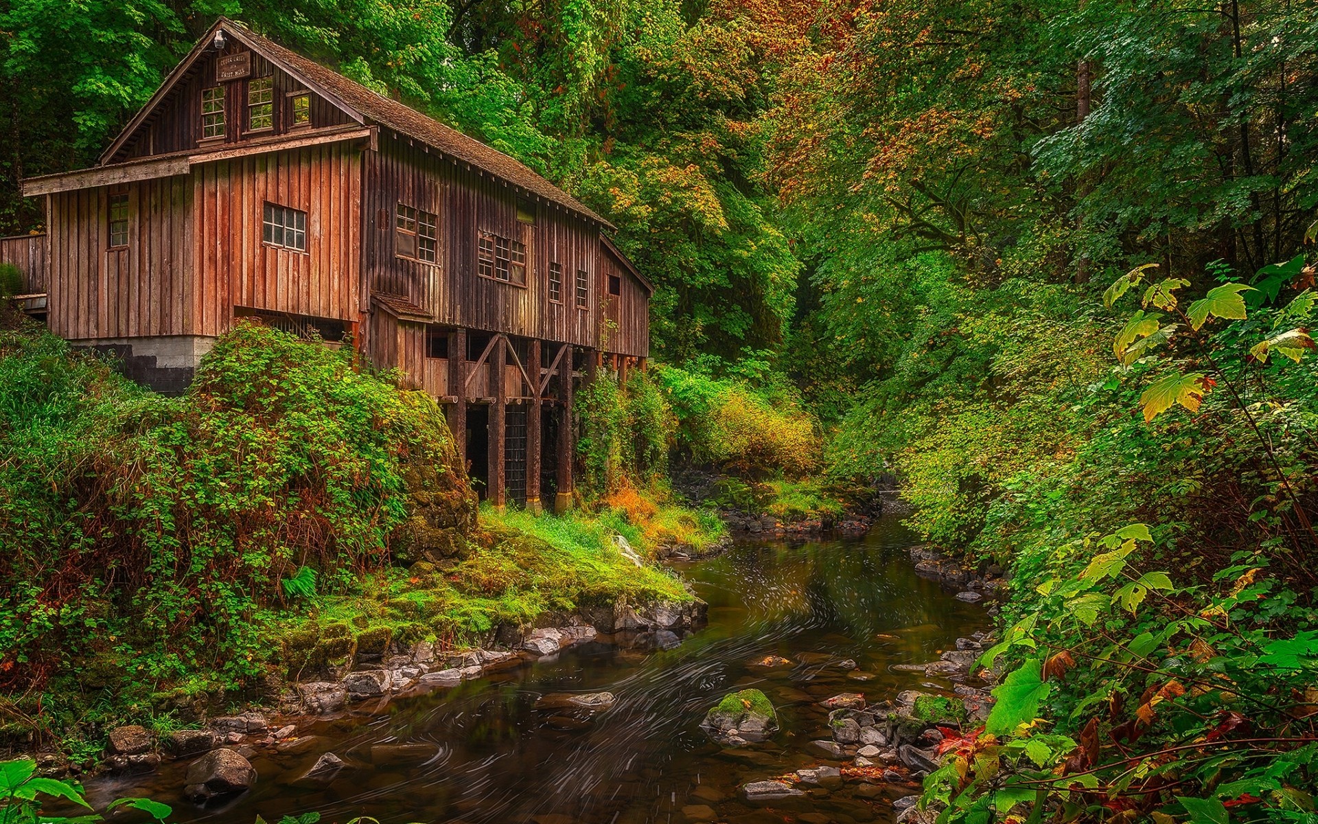Download mobile wallpaper Bush, Building, Forest, Tree, Stream, Man Made, Watermill for free.
