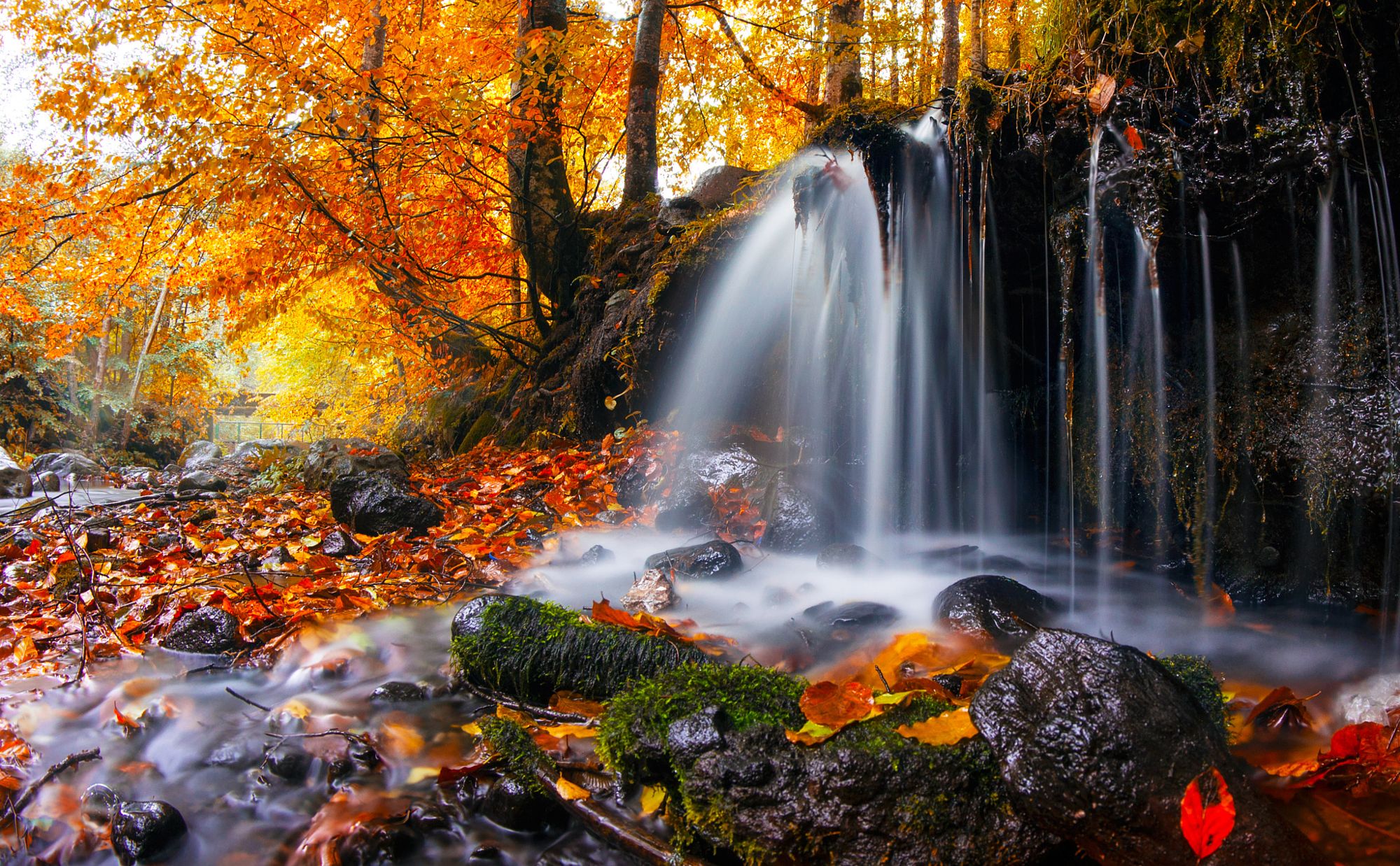 Free download wallpaper Waterfalls, Waterfall, Forest, Tree, Fall, Earth on your PC desktop