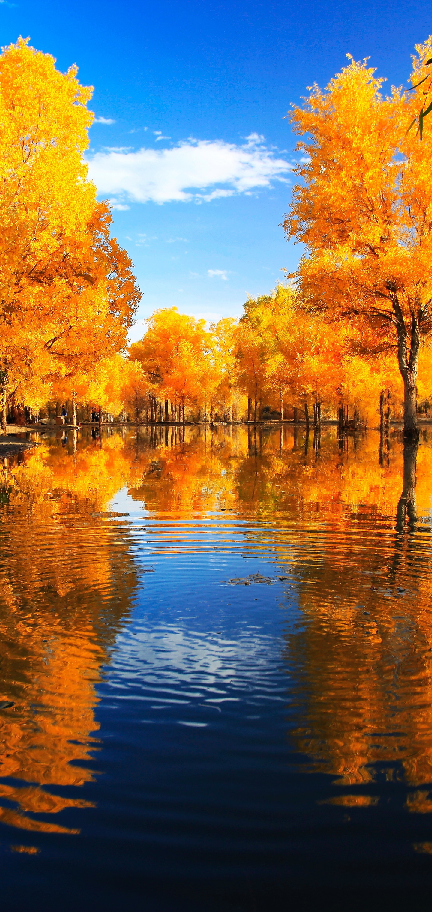 Download mobile wallpaper Landscape, Reflection, Park, Fall, China, Photography for free.