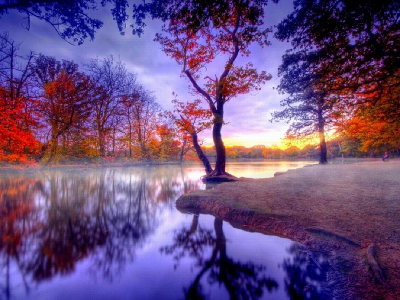 Download mobile wallpaper Landscape, Water, Reflection, Tree, Earth, Colorful for free.