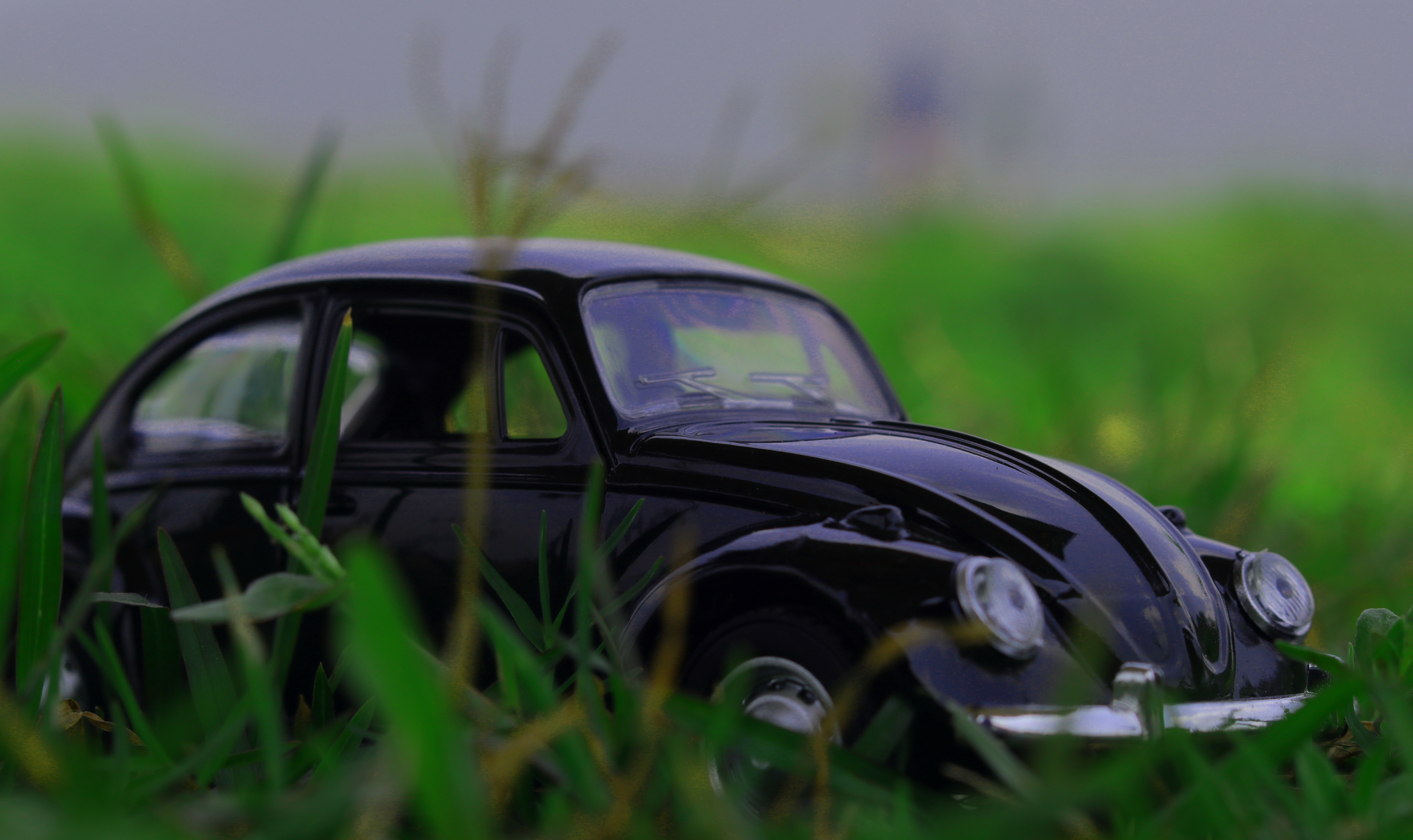 toy, grass, cars, car, retro, typewriter HD wallpaper