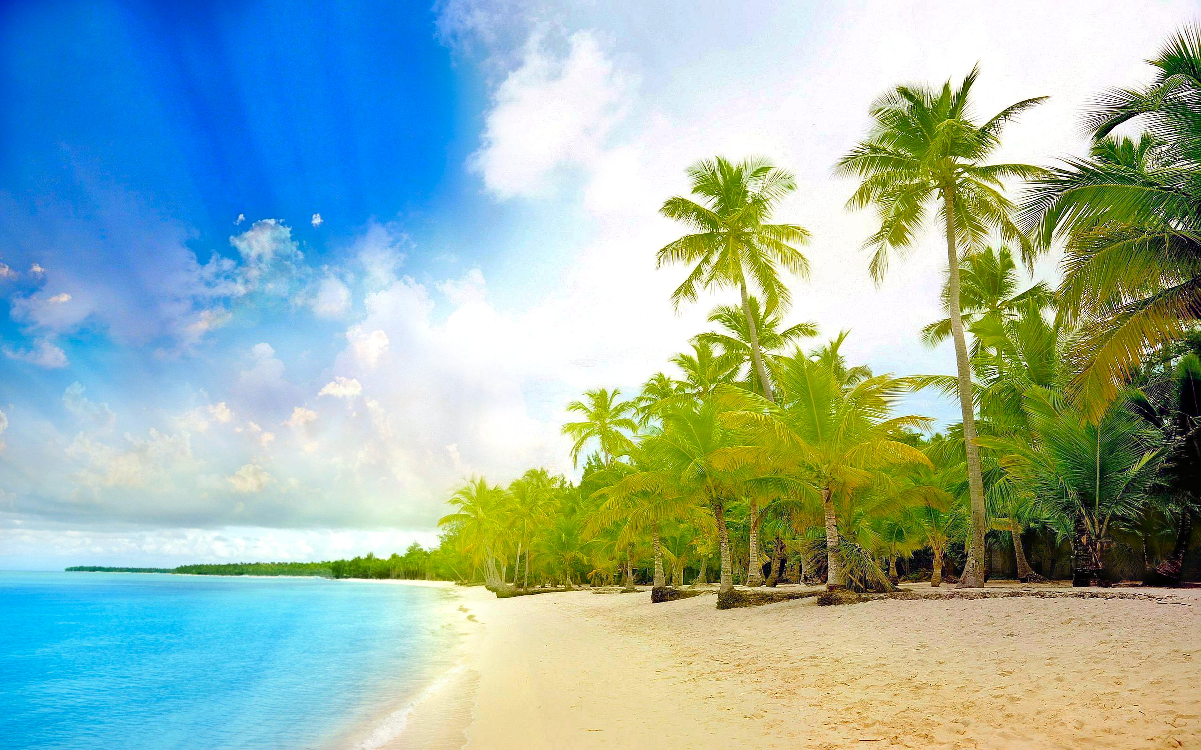 Скачать картинку Пляж, Лето, Горизонт, Пальма, Тропический, Земля/природа в телефон бесплатно.