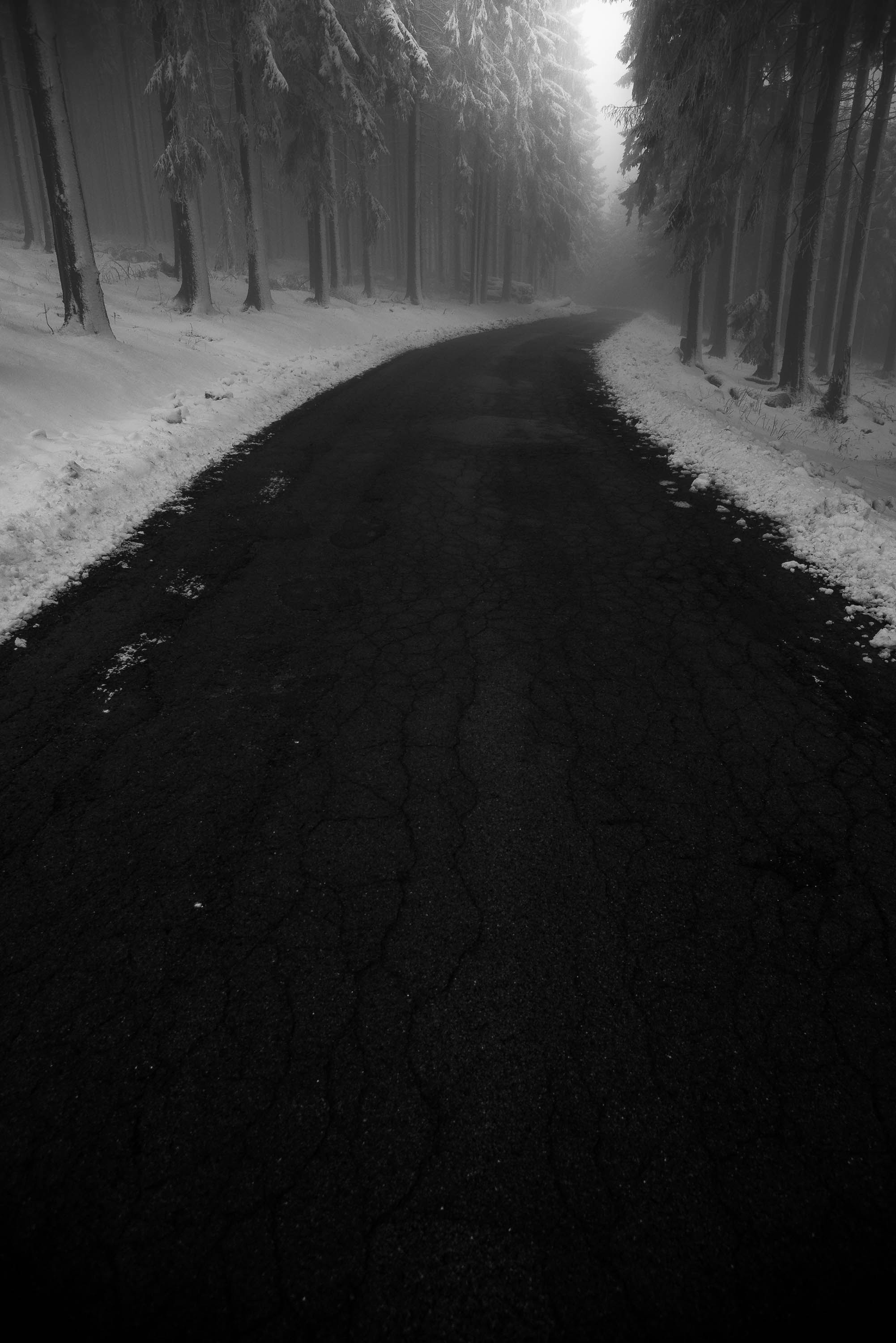 Download mobile wallpaper Trees, Snow, Fog, Road, Turn, Nature for free.