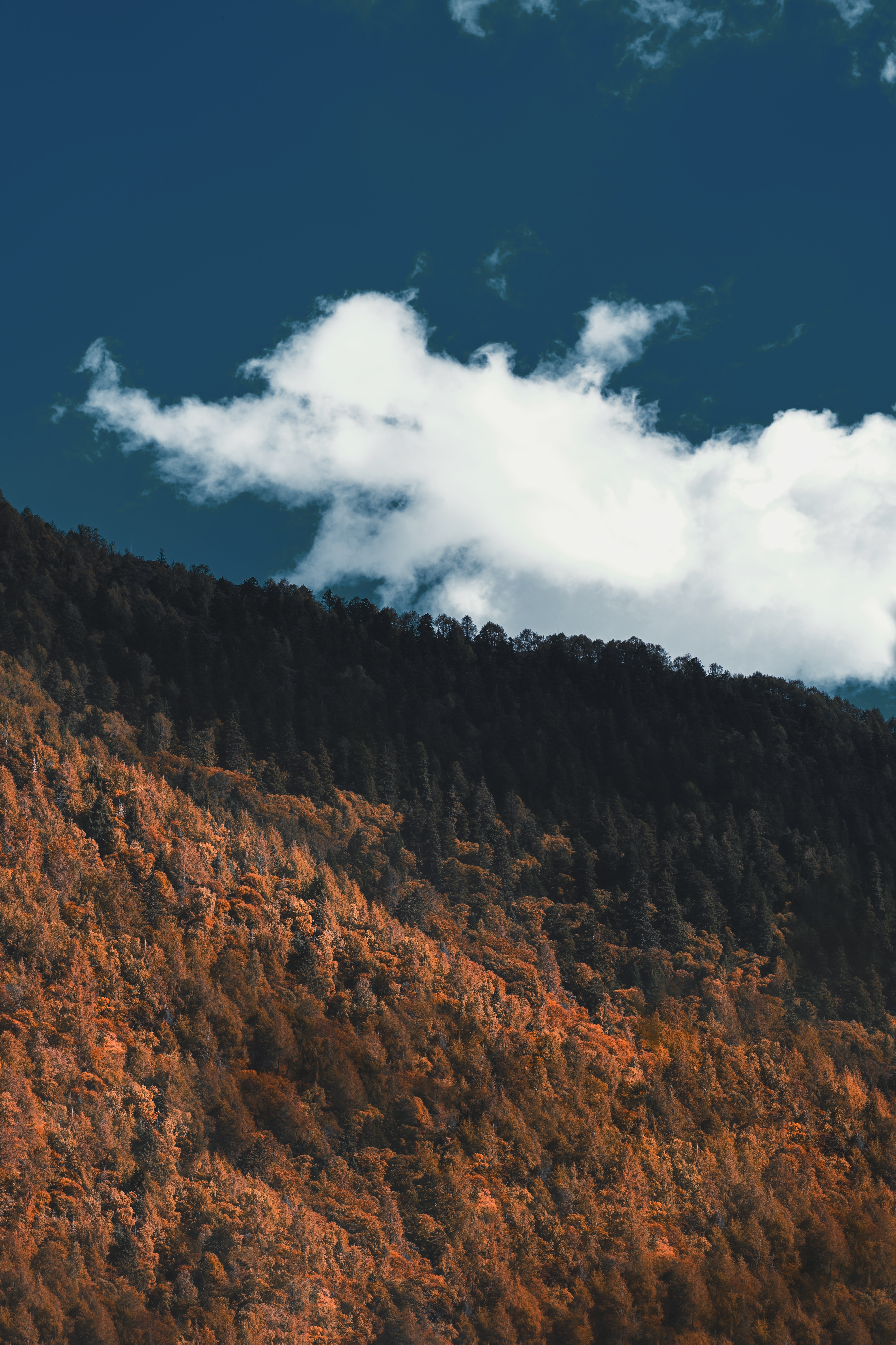 Download mobile wallpaper Slope, Trees, Clouds, Mountain, Nature, Forest for free.