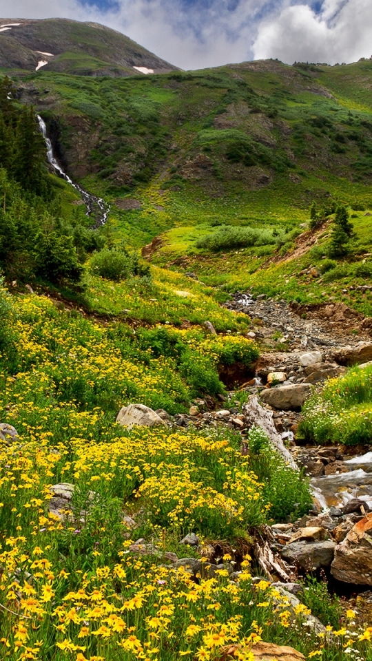 Download mobile wallpaper Landscape, Mountain, Flower, Earth, Stream, Meadow for free.