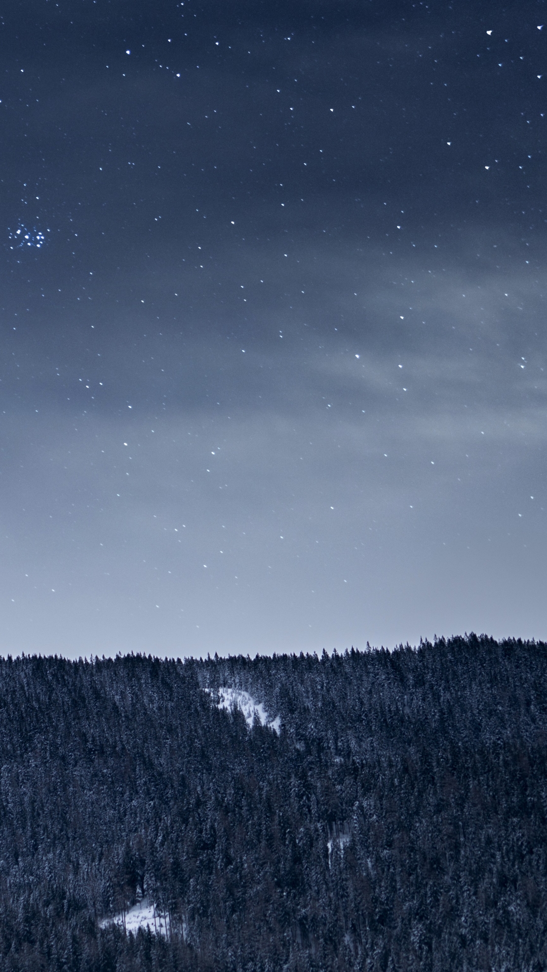 Download mobile wallpaper Stars, Night, Snow, Forest, Sci Fi for free.