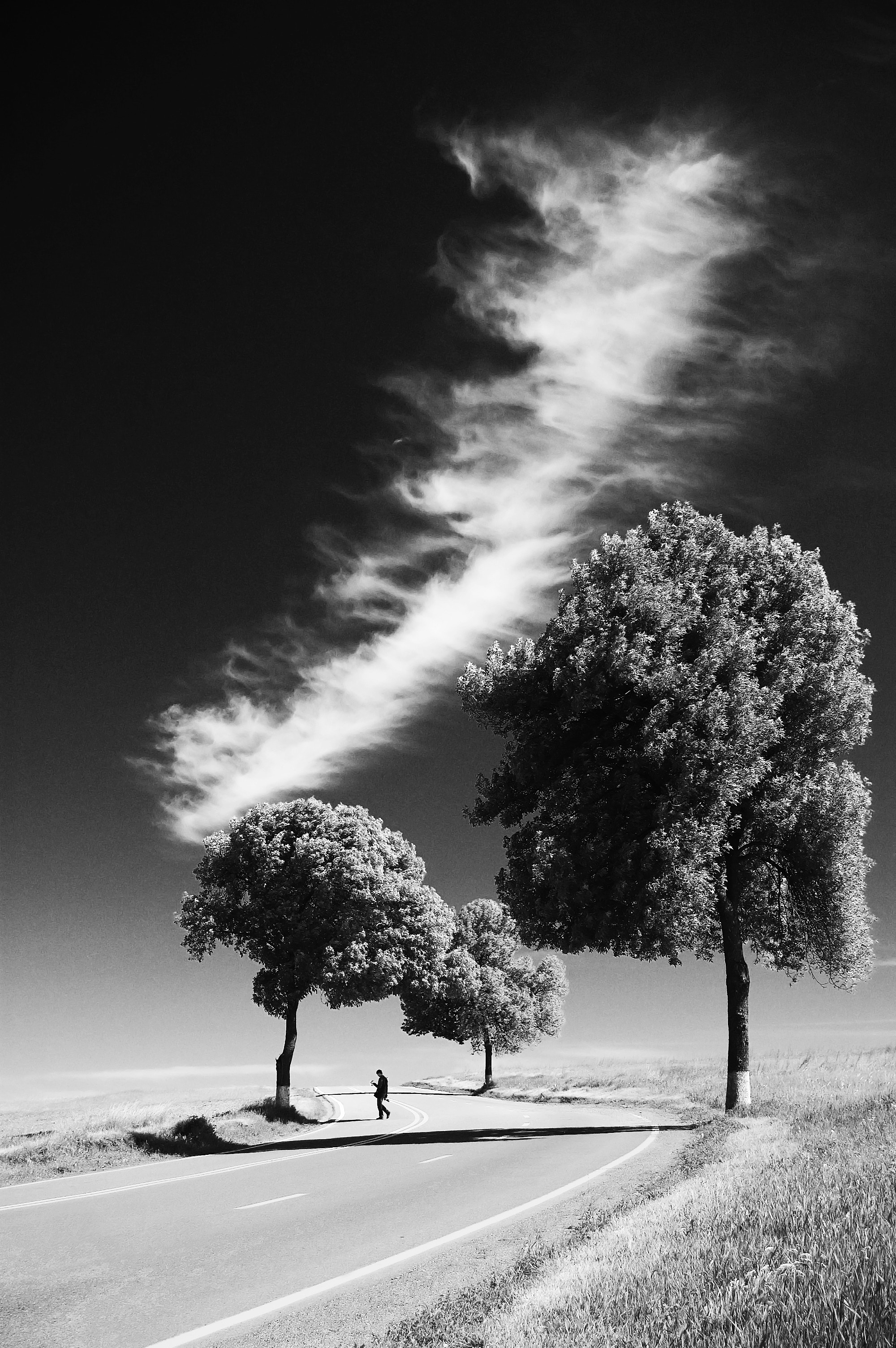Free download wallpaper Trees, Road, Bw, Human, Person, Loneliness, Nature, Chb on your PC desktop