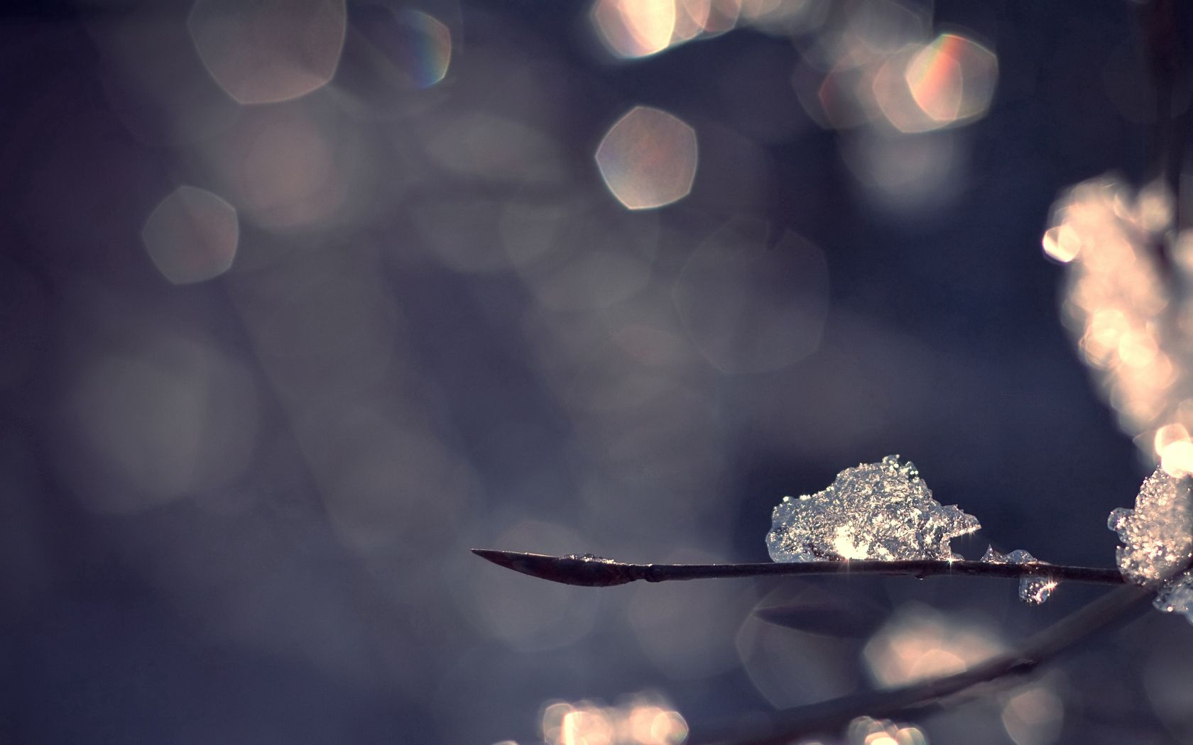 Free download wallpaper Winter, Snow, Macro, Glare, Branches, Ice on your PC desktop
