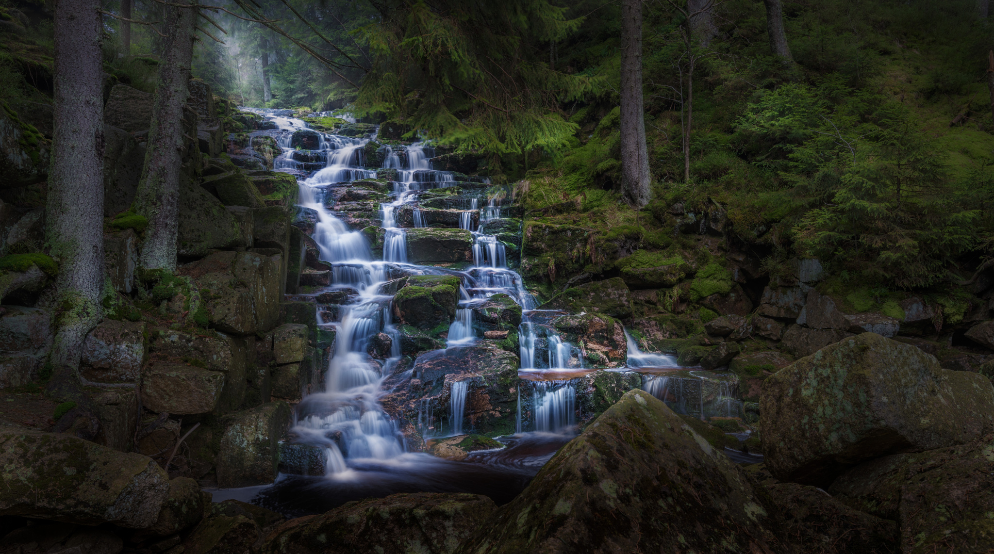 Laden Sie das Natur, Wasser, Wasserfälle, Wasserfall, Wald, Erde/natur-Bild kostenlos auf Ihren PC-Desktop herunter
