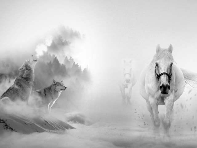 Download mobile wallpaper Winter, Fantasy, Snow, Wolf, Animal, Horse, Fantasy Animals for free.