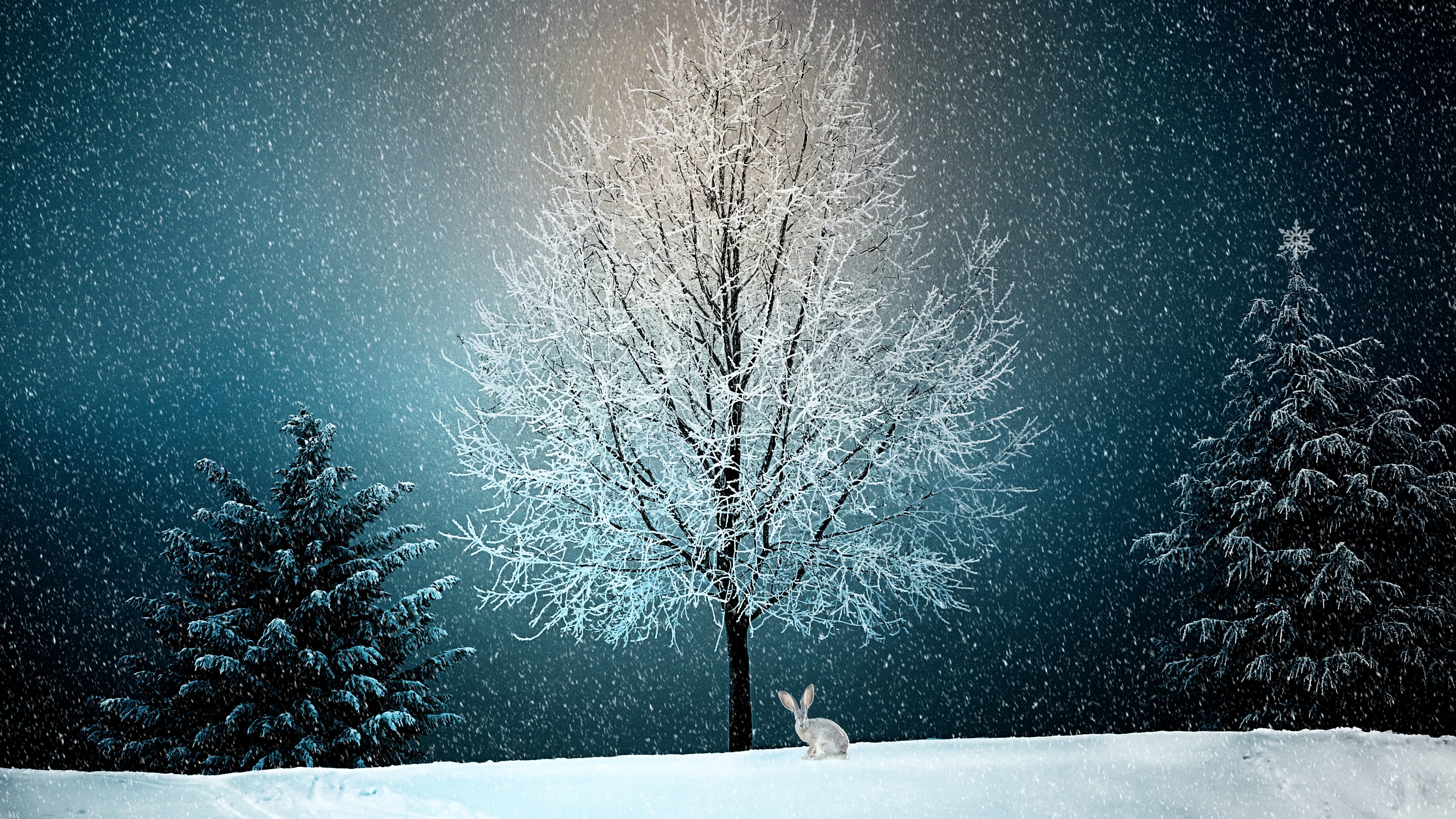 Free download wallpaper Winter, Snow, Artistic, Bunny on your PC desktop