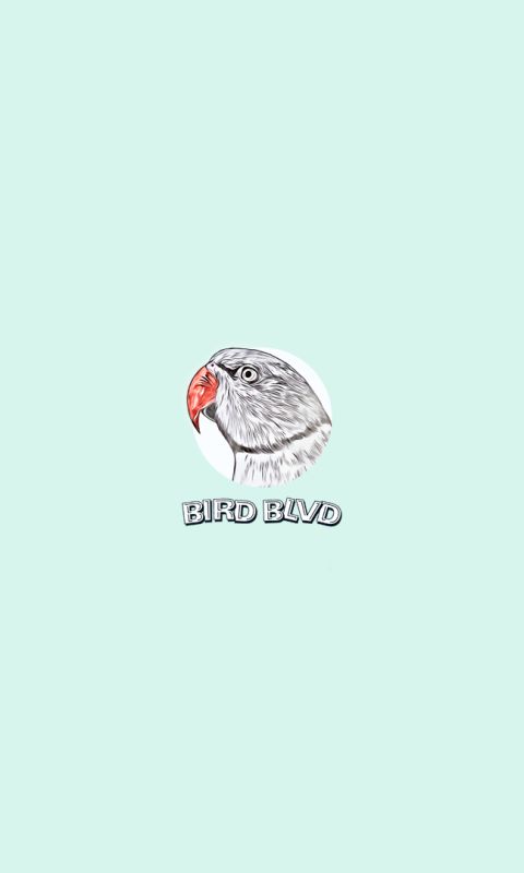 Download mobile wallpaper Birds, Bird, Animal, Rose Ringed Parakeet for free.