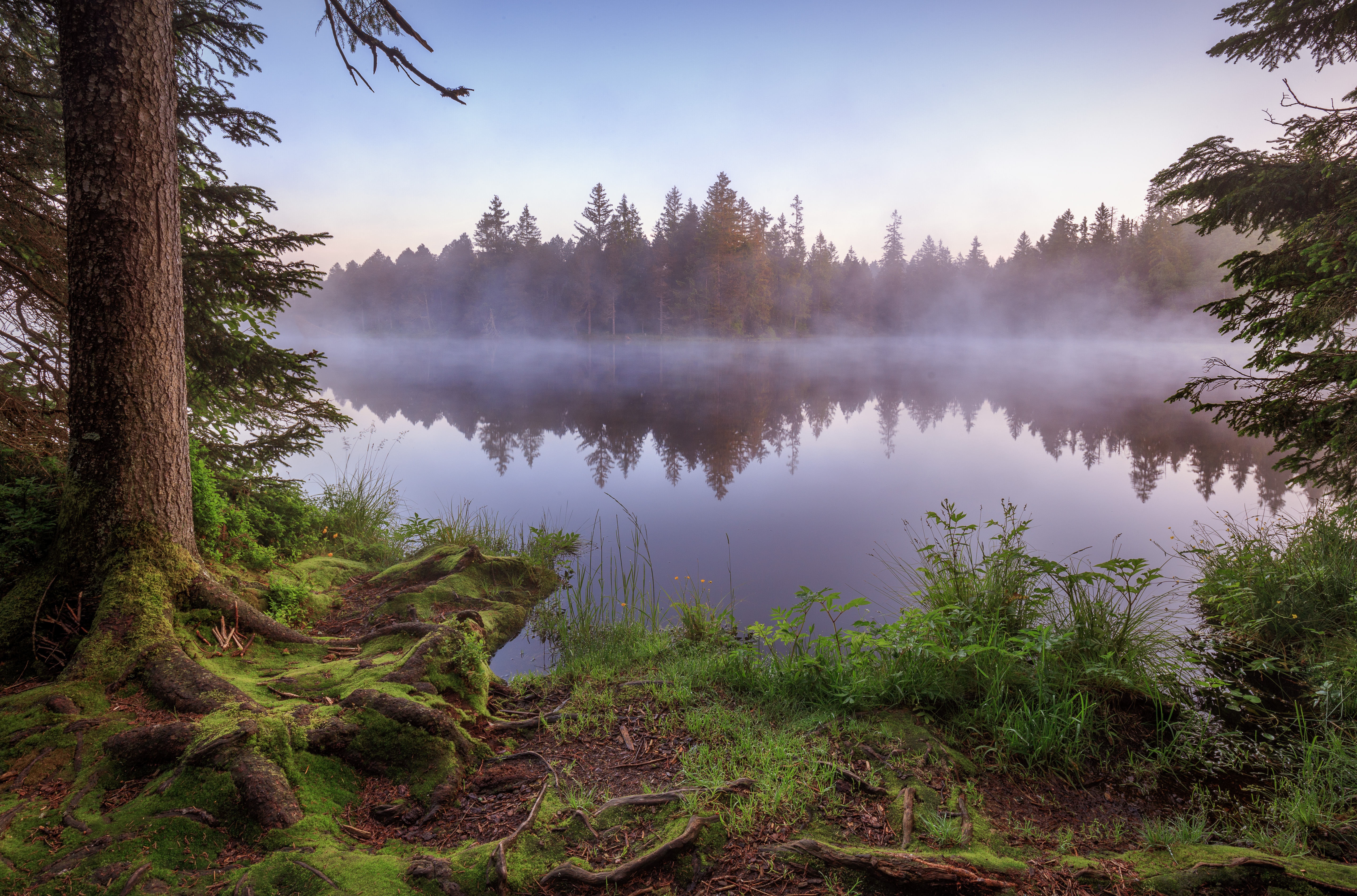 Download mobile wallpaper Lakes, Lake, Shore, Forest, Fog, Earth for free.