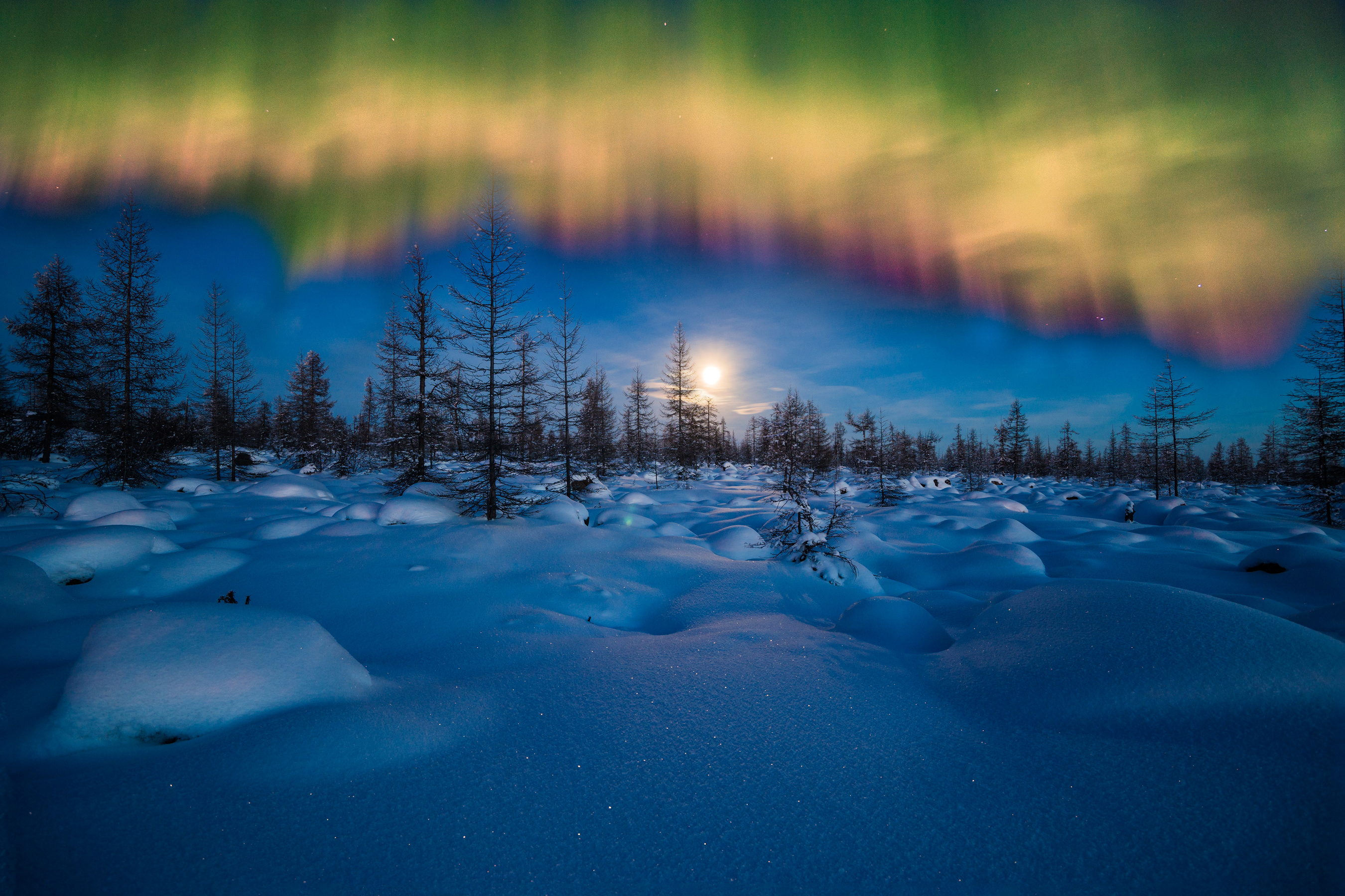 Free download wallpaper Winter, Nature, Sky, Night, Snow, Earth, Aurora Borealis on your PC desktop