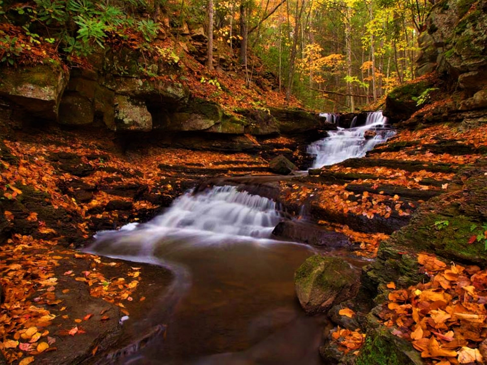 Handy-Wallpaper Herbst, Wasserfall, Wald, Erde, Erde/natur kostenlos herunterladen.