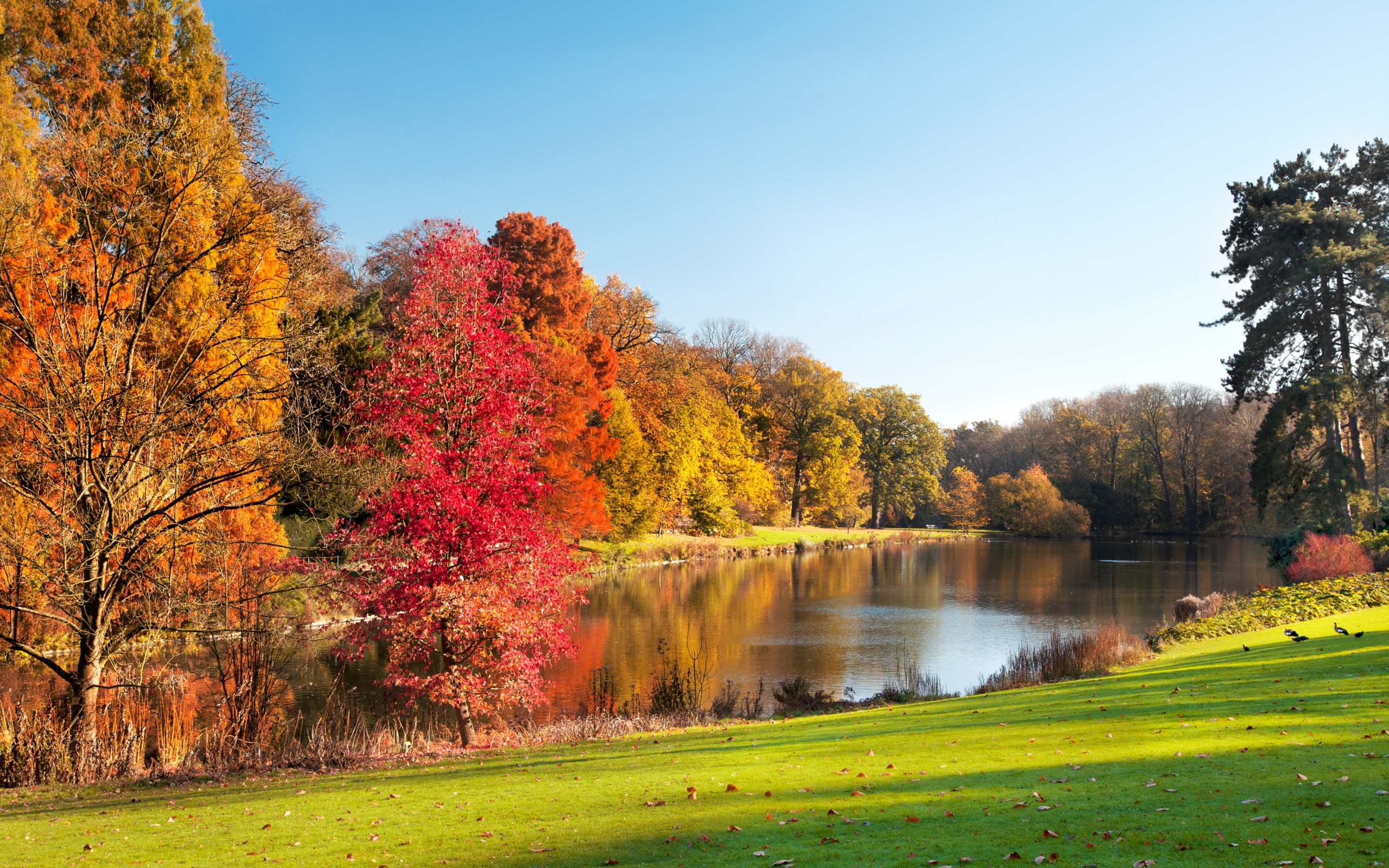 Téléchargez gratuitement l'image Terre/nature, Rivière sur le bureau de votre PC