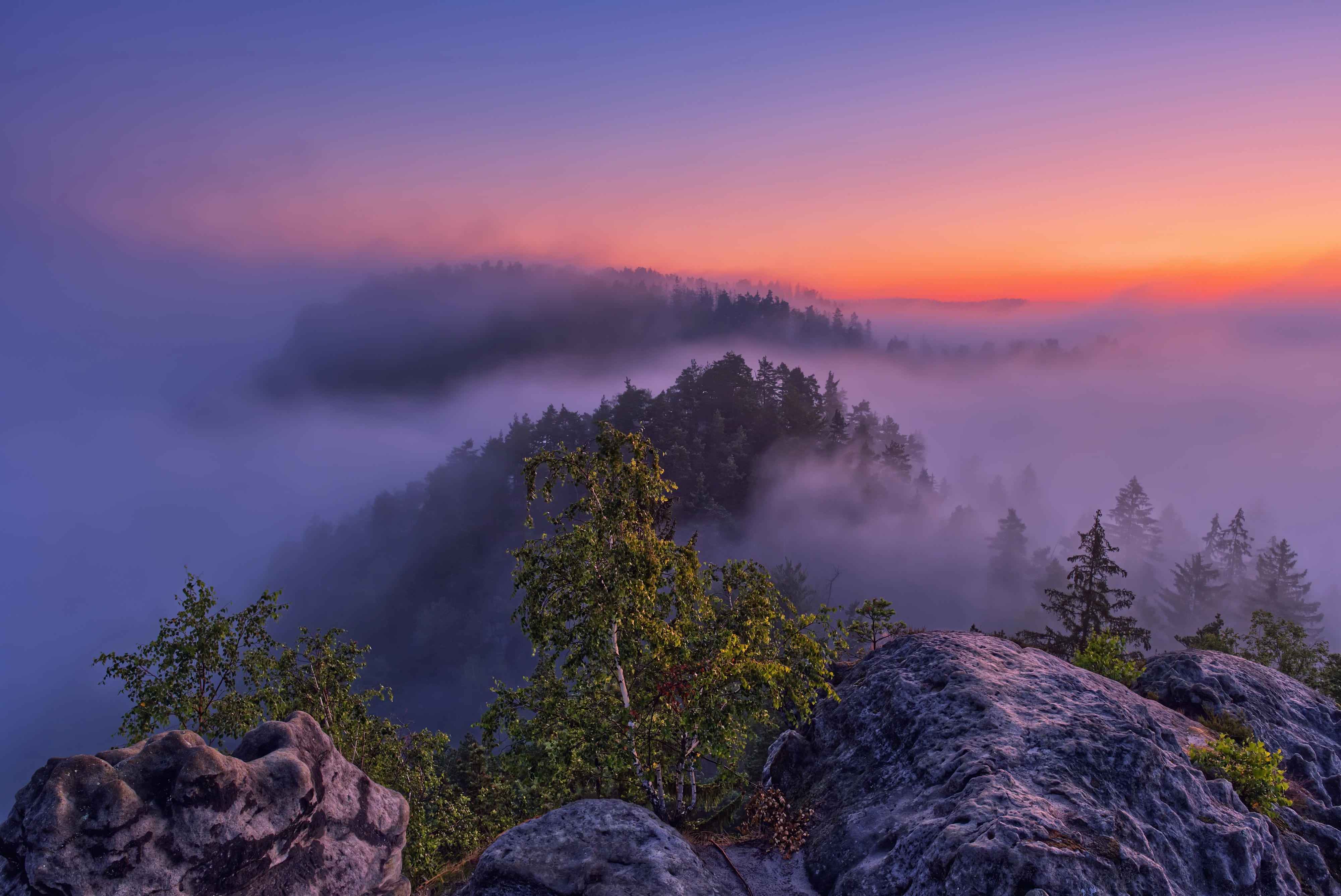 Download mobile wallpaper Sunset, Mountain, Tree, Fog, Earth for free.