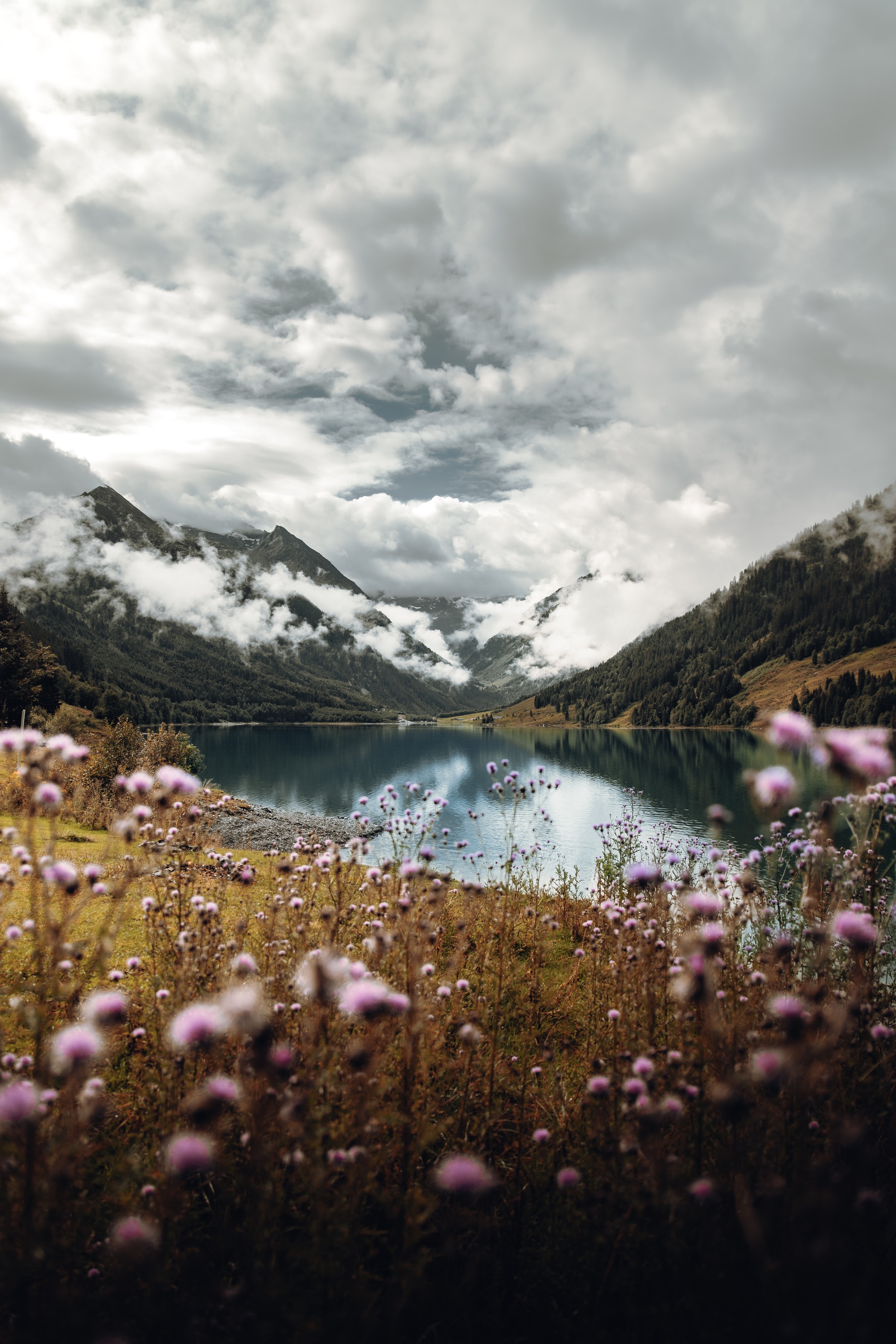 119006 завантажити картинку польові квіти, природа, небо, гори, хмари, озеро - шпалери і заставки безкоштовно