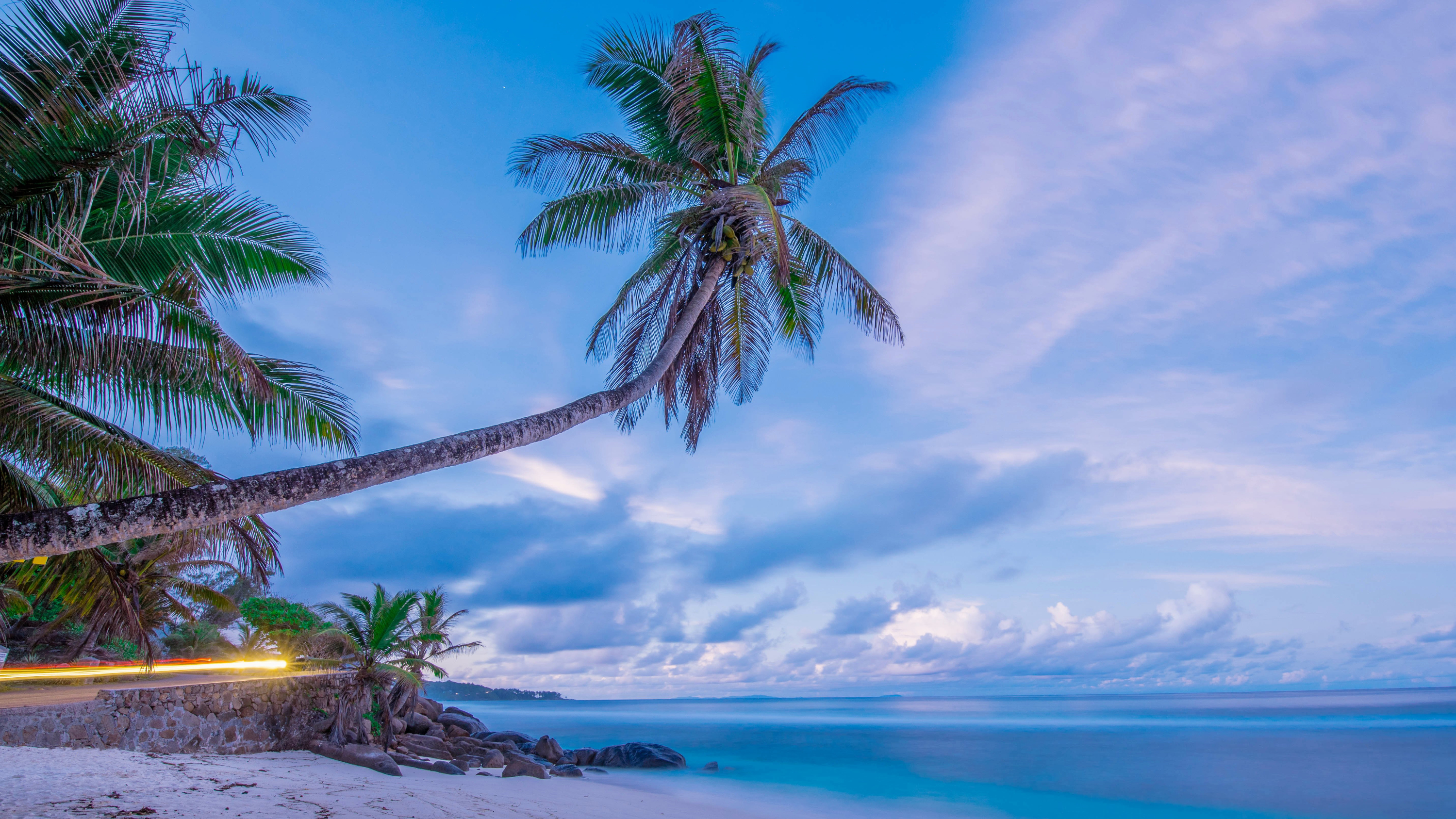 Free download wallpaper Sea, Beach, Horizon, Ocean, Earth, Tropical, Palm Tree on your PC desktop