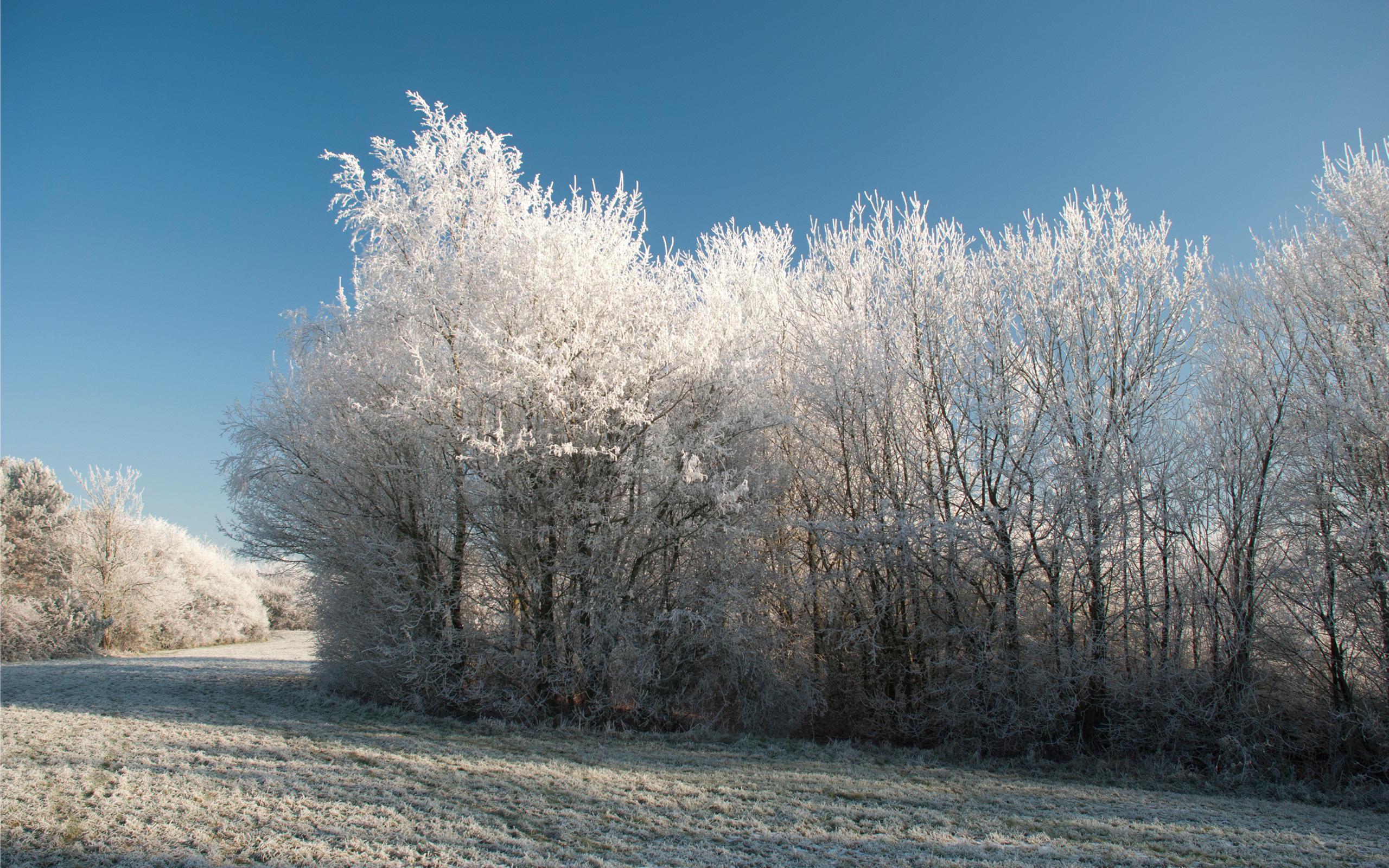 Handy-Wallpaper Winter, Erde/natur kostenlos herunterladen.