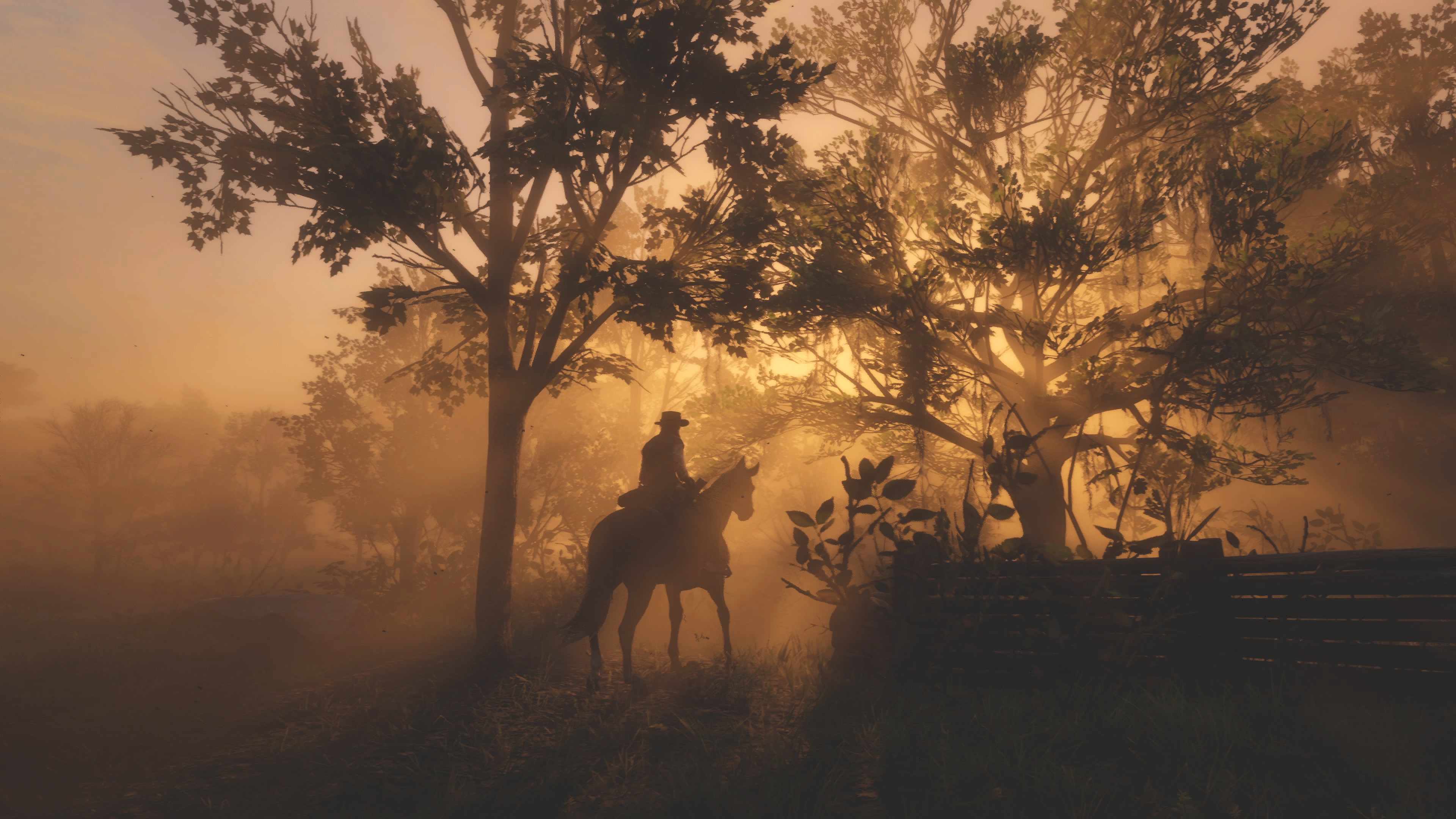 Download mobile wallpaper Video Game, Red Dead Redemption 2 for free.