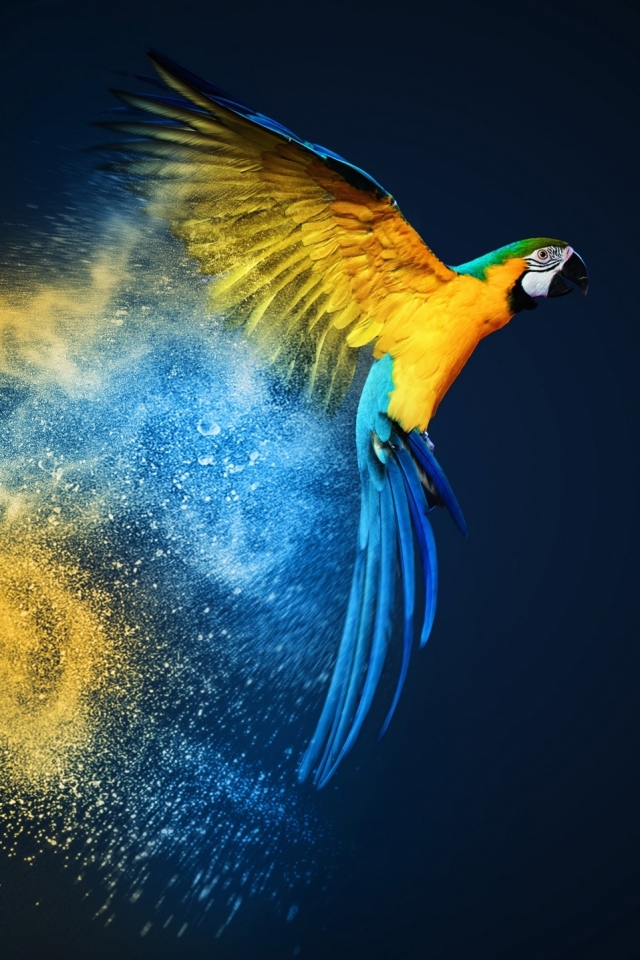 Download mobile wallpaper Birds, Bird, Animal, Macaw, Parrot, Blue And Yellow Macaw for free.