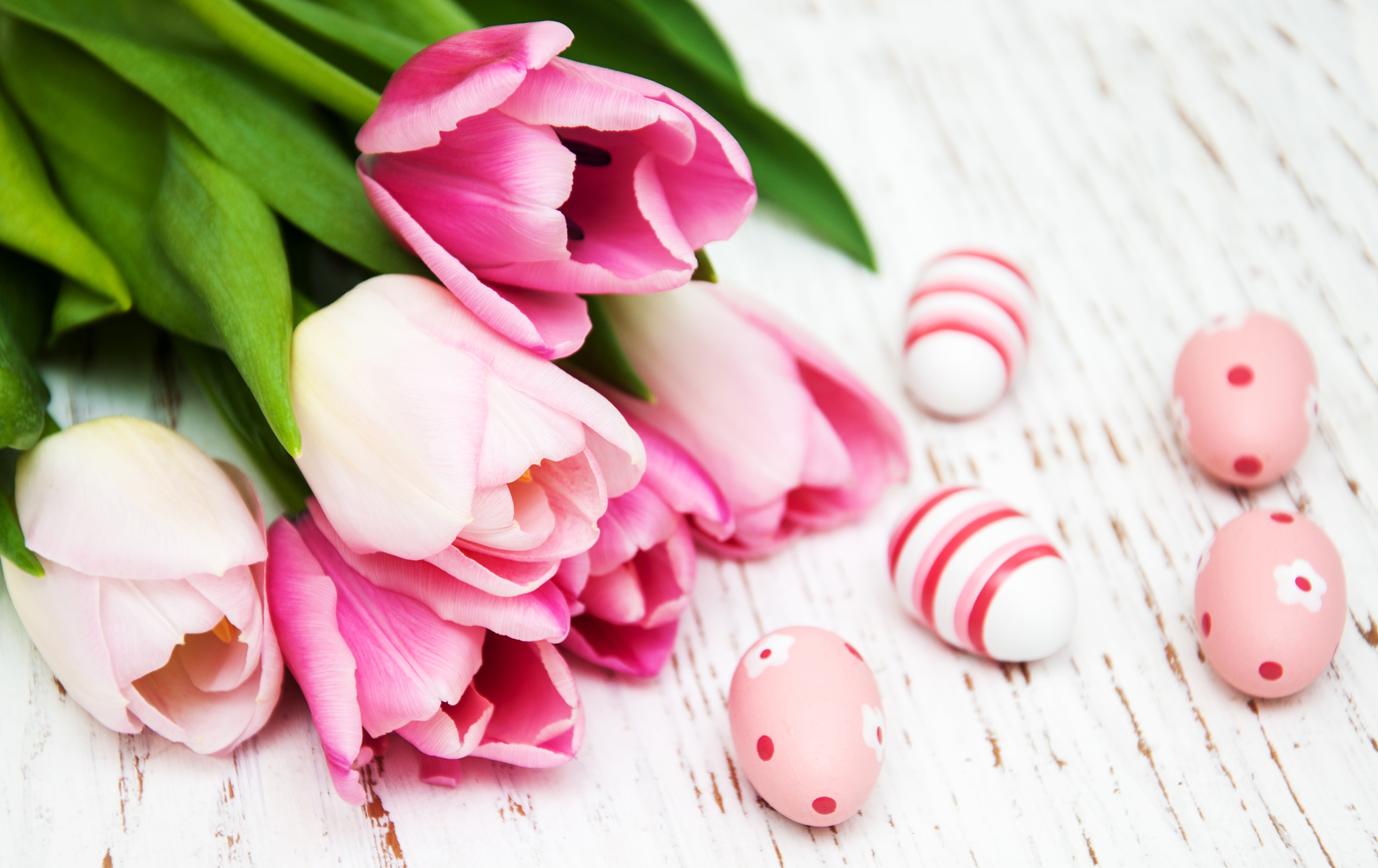 Скачати мобільні шпалери Великдень, Квітка, Свято, Тюльпан, Рожева Квітка, Пасхальне Яйце безкоштовно.