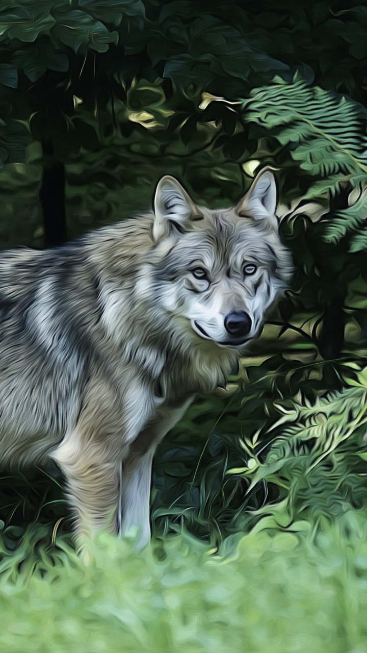 Téléchargez des papiers peints mobile Animaux, Loup, Peinture À L'huile, Wolves gratuitement.