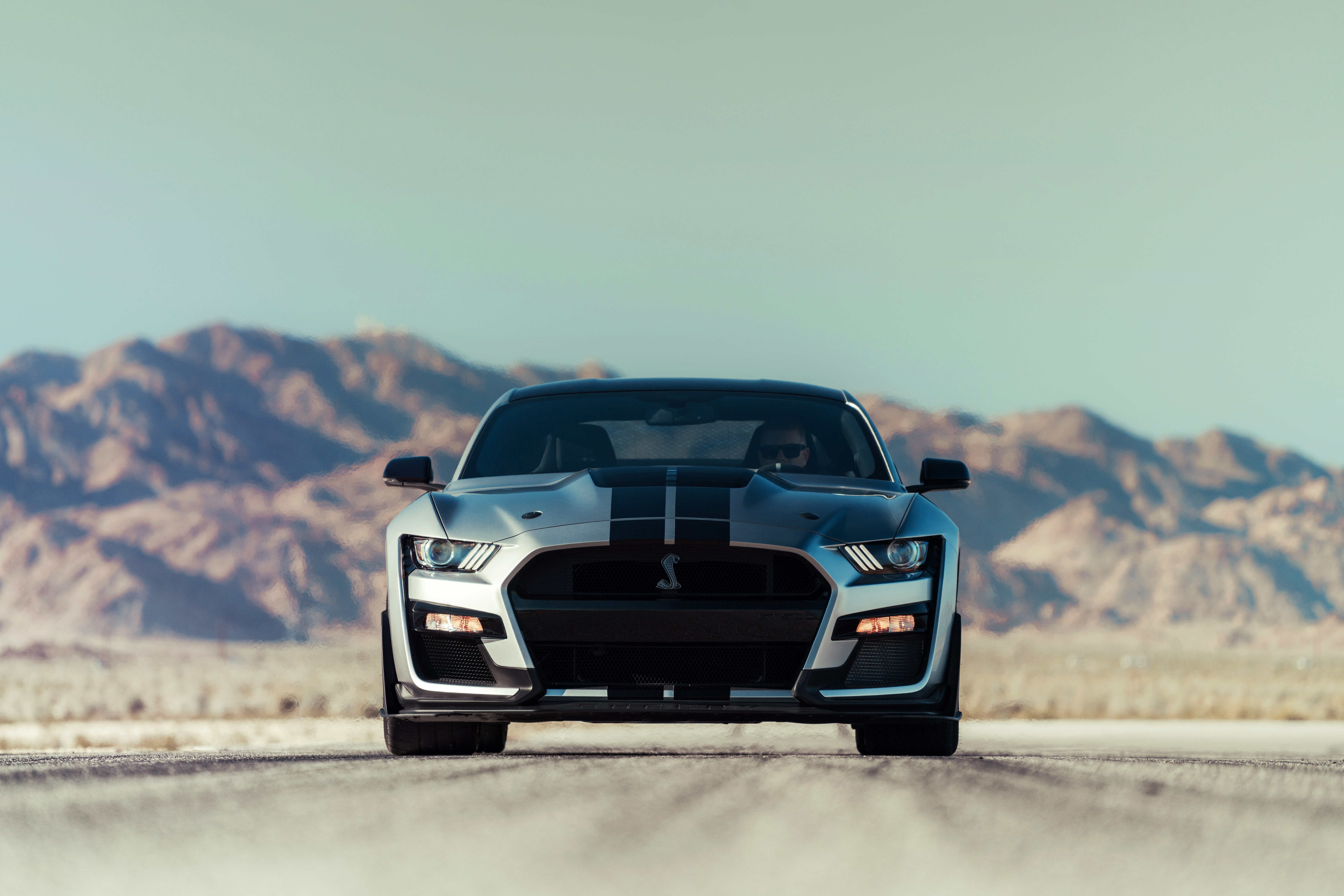 ford mustang, ford mustang shelby gt500, vehicles, car, ford mustang shelby, ford, muscle car, silver car