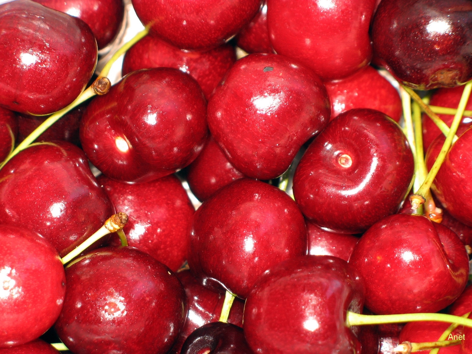 Free download wallpaper Sweet Cherry, Background, Fruits, Food on your PC desktop