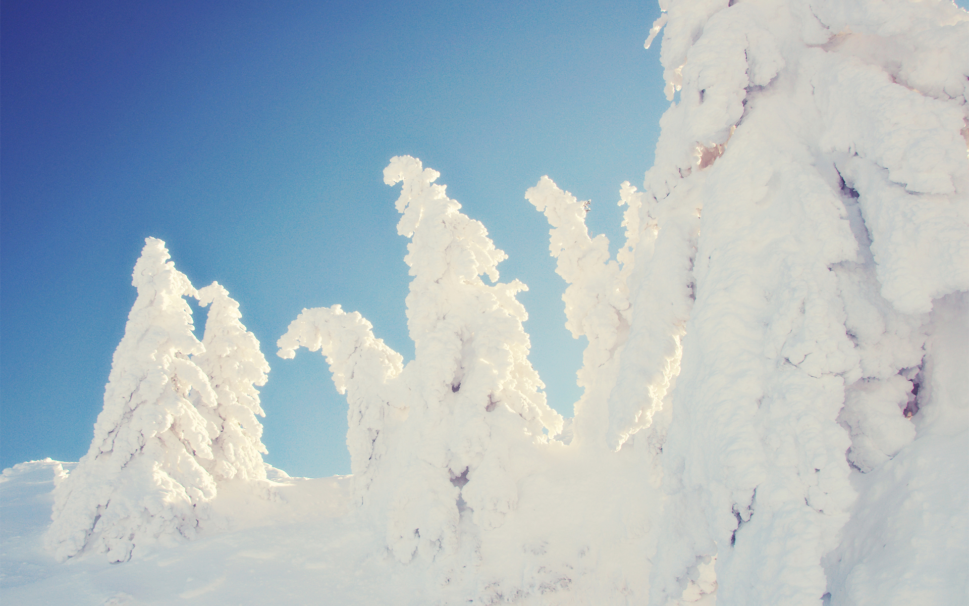 Téléchargez gratuitement l'image Hiver, Terre/nature sur le bureau de votre PC