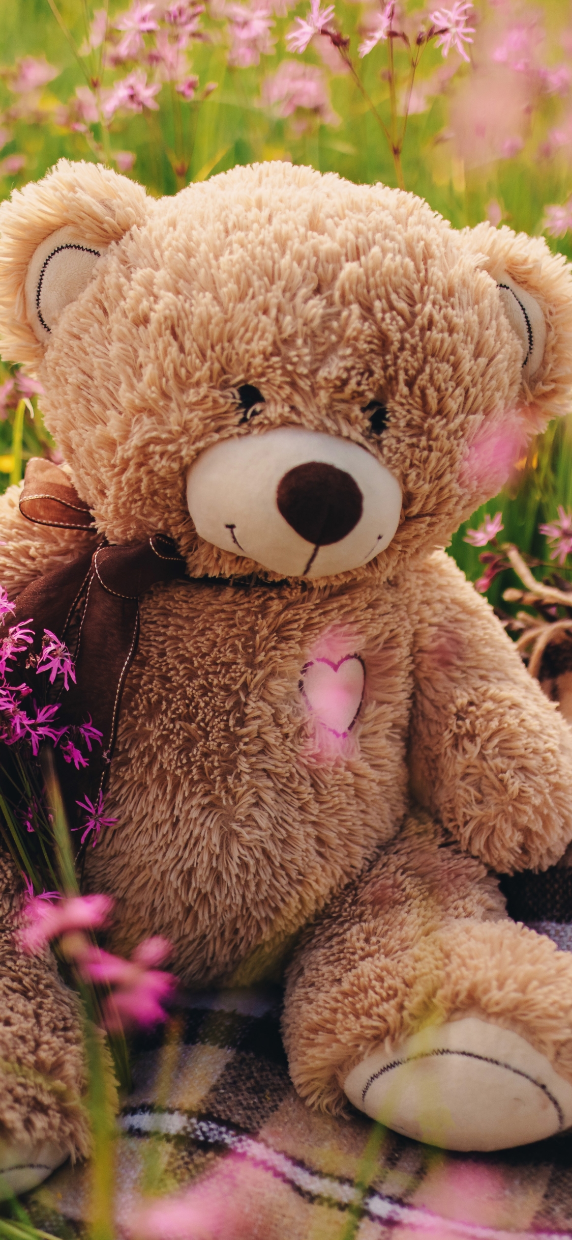 Download mobile wallpaper Teddy Bear, Man Made, Stuffed Animal for free.