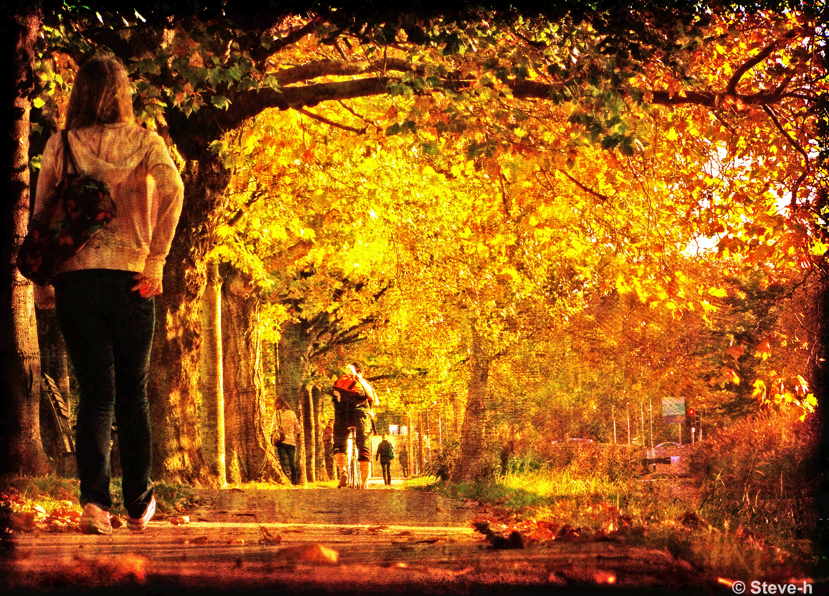 Laden Sie das Herbst, Fotografie-Bild kostenlos auf Ihren PC-Desktop herunter