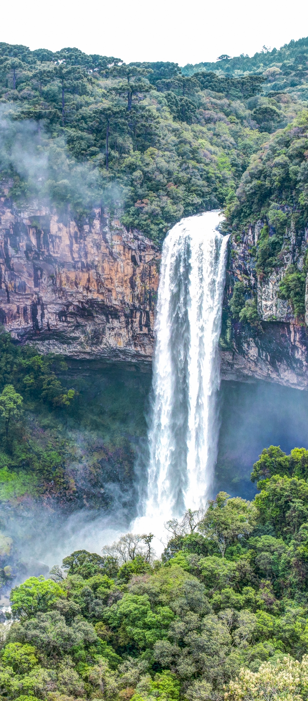 Handy-Wallpaper Schlucht, Wasserfälle, Wasserfall, Tal, Erde/natur, Regenwald kostenlos herunterladen.