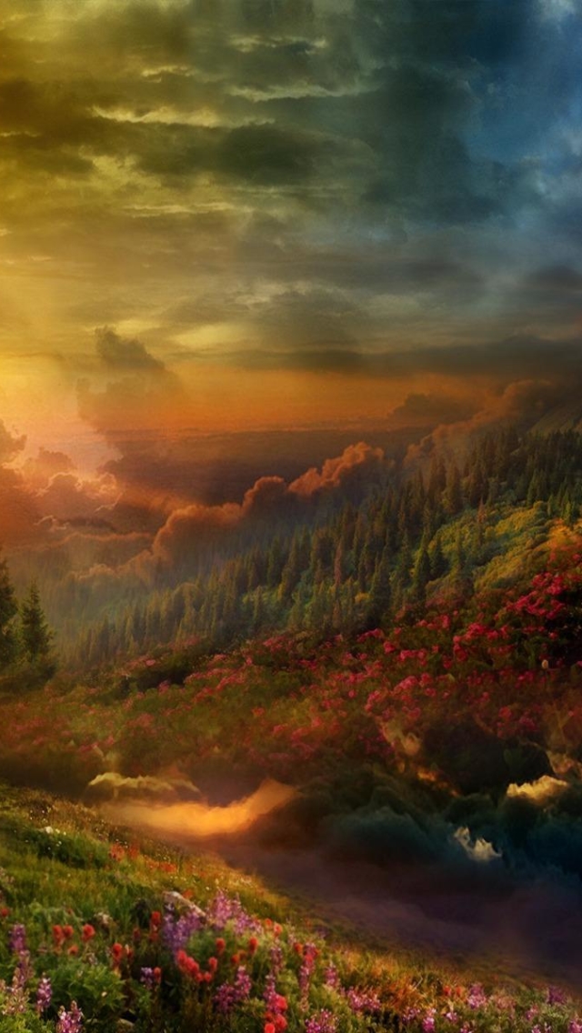 Download mobile wallpaper Landscape, Nature, Sunset, Flower, Forest, Earth, Cloud for free.
