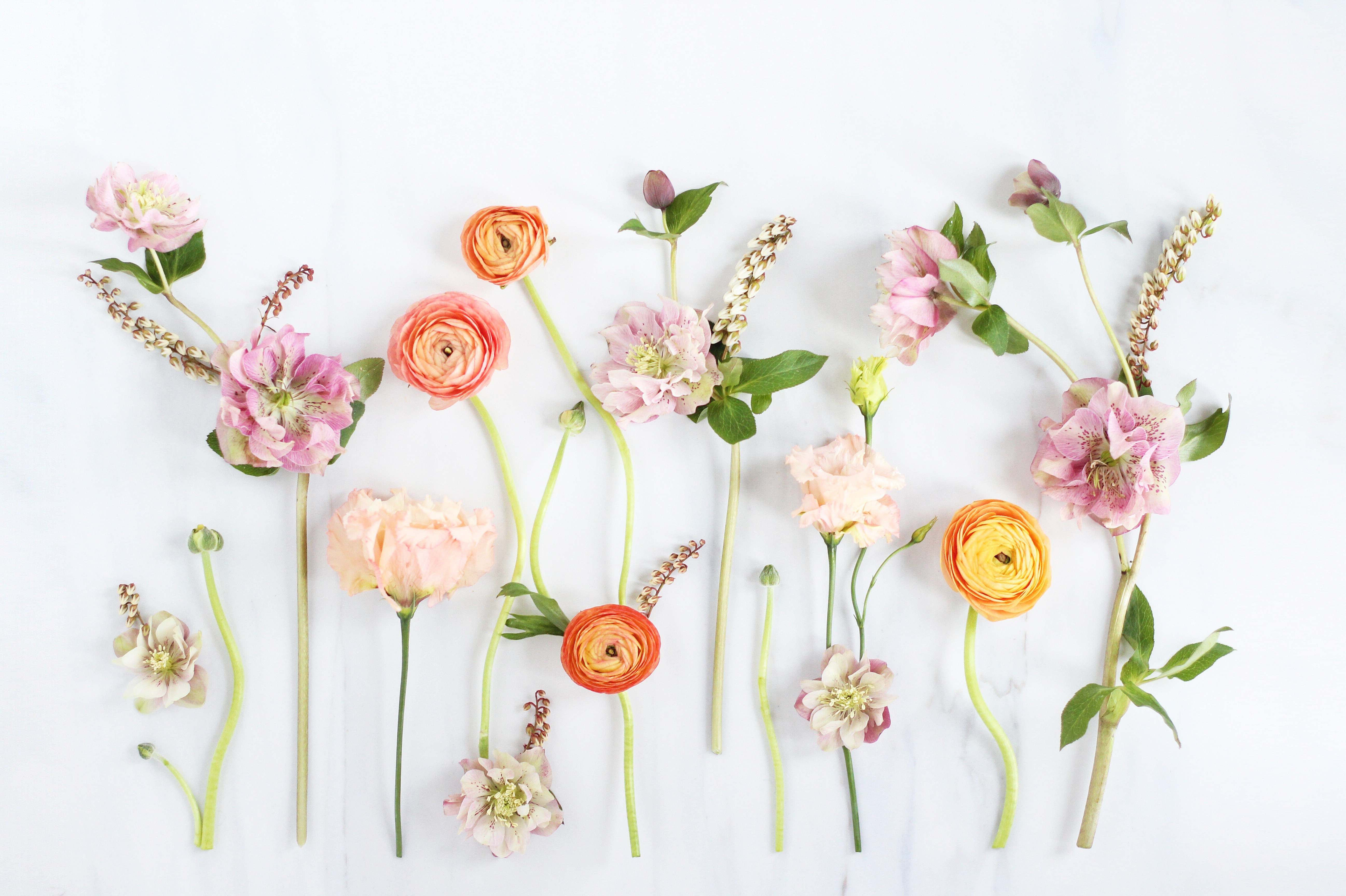 Laden Sie das Blumen, Blume, Farben, Frühling, Pastell, Künstlerisch-Bild kostenlos auf Ihren PC-Desktop herunter