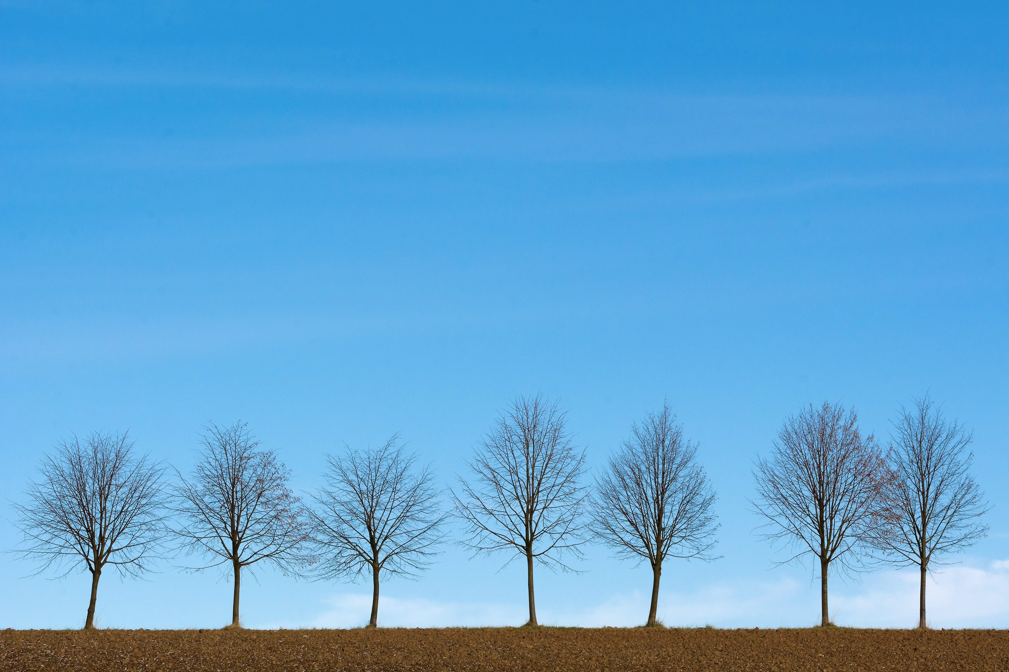 Free download wallpaper Horizon, Sky, Trees, Minimalism on your PC desktop