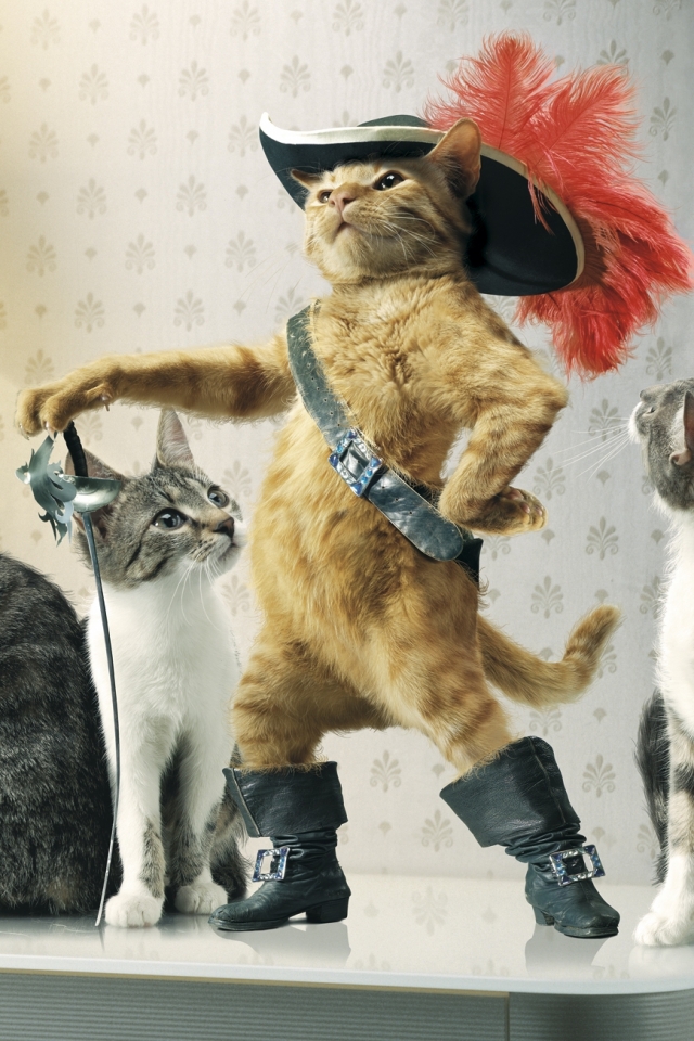 Download mobile wallpaper Puss In Boots, Cat, Animal, Hat, Sword, Humor for free.
