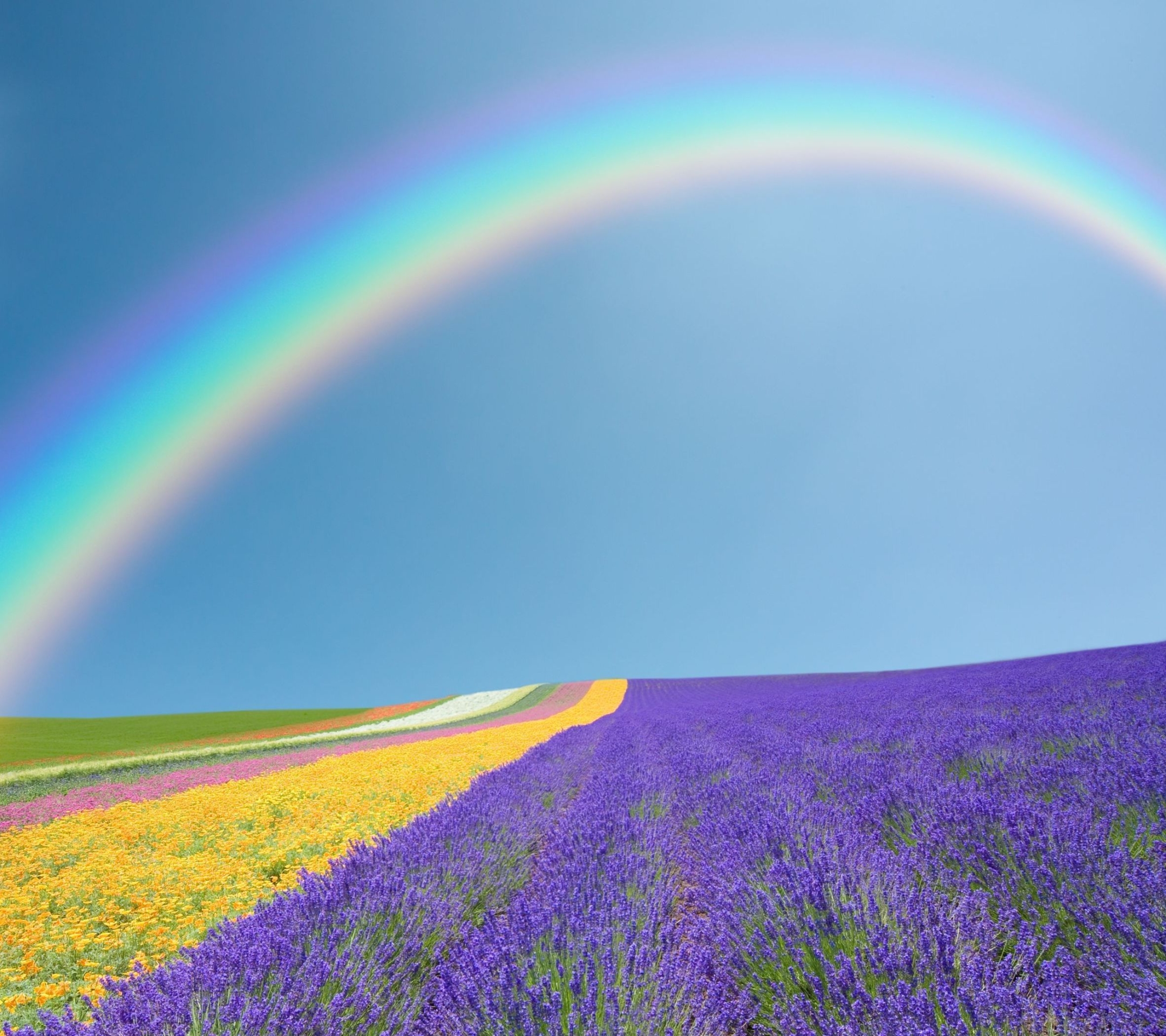 Download mobile wallpaper Nature, Rainbow, Earth, Field, Spring for free.