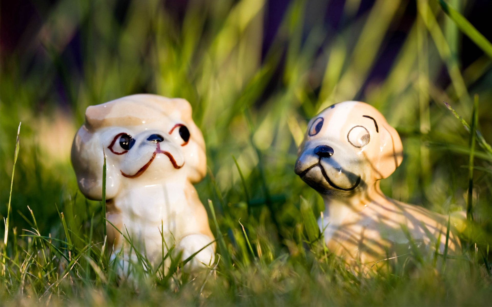 Laden Sie das Grass, Spielzeug, Verschiedenes, Sonstige, Hund, Katze-Bild kostenlos auf Ihren PC-Desktop herunter