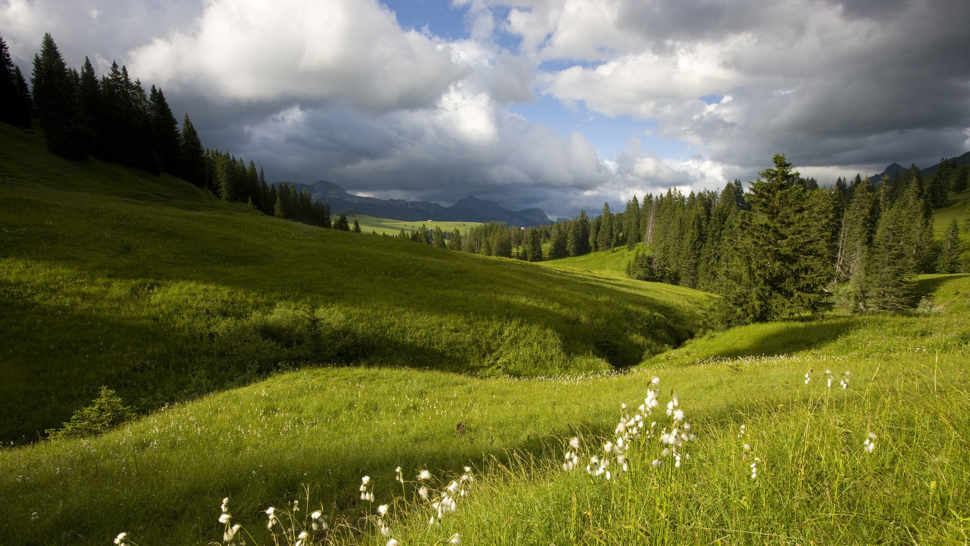 Téléchargez gratuitement l'image Paysage, Terre/nature sur le bureau de votre PC