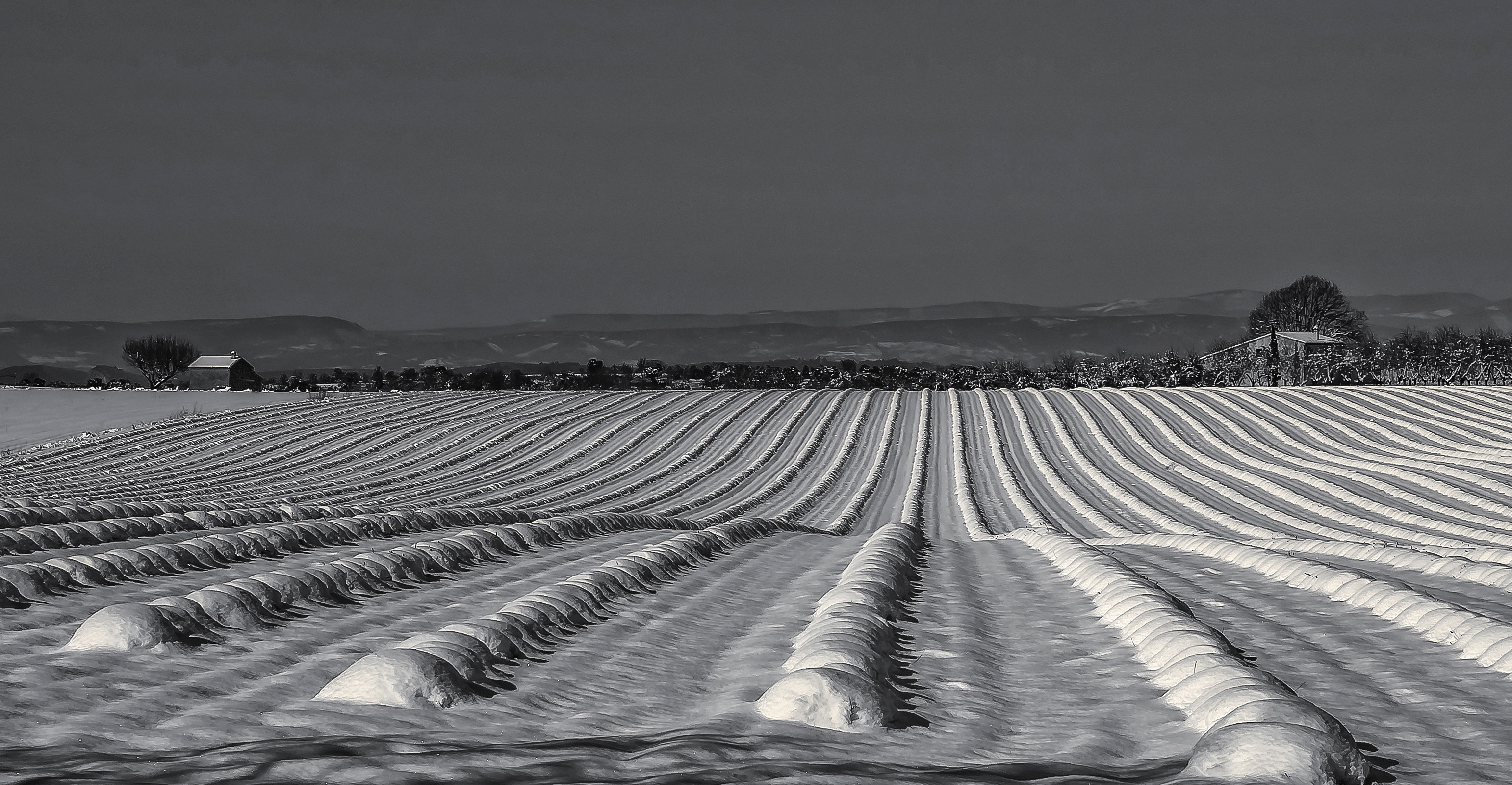 Free download wallpaper Winter, Nature, Earth, Field, Black & White on your PC desktop