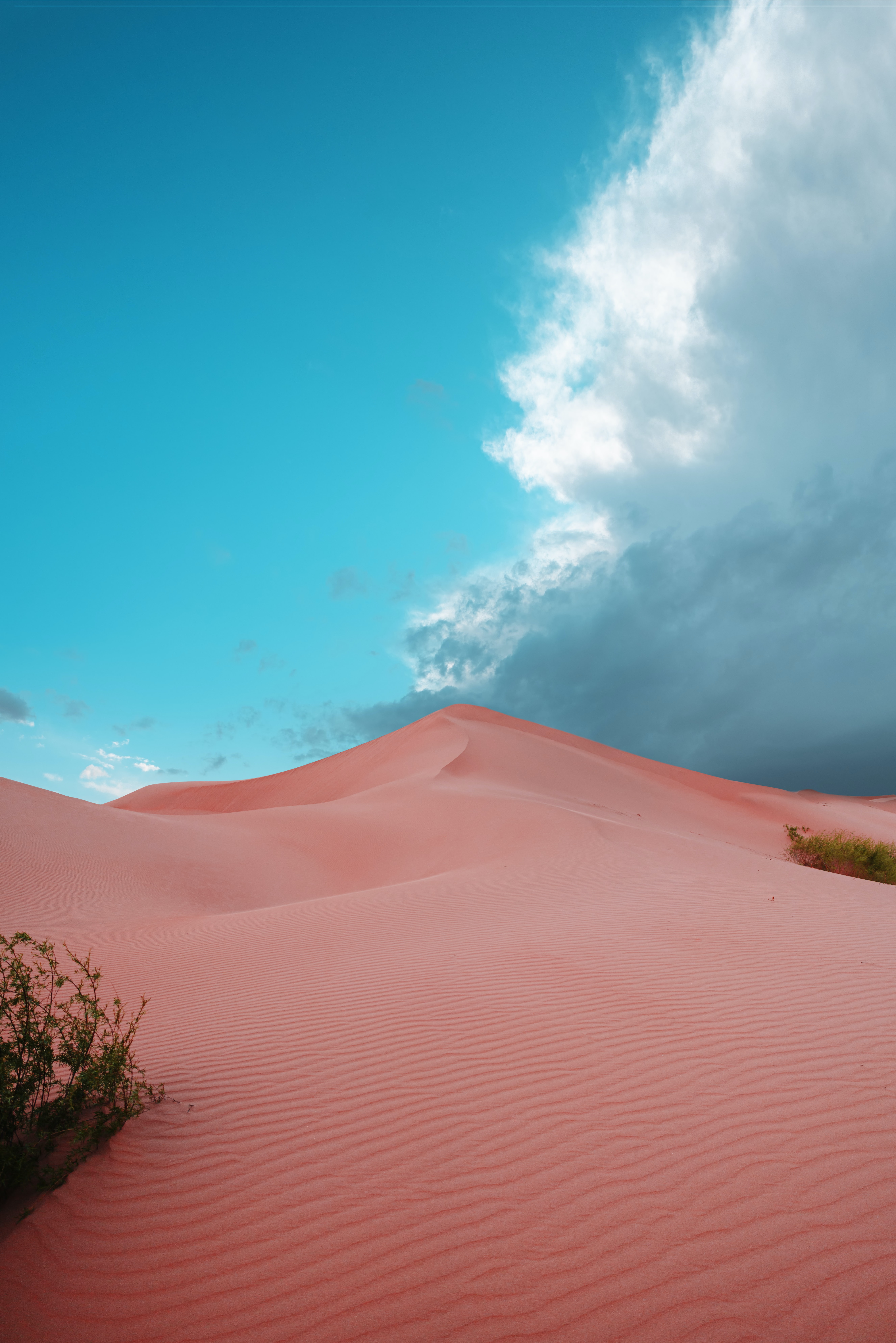 desert, nature, dunes, traces, sand, bush