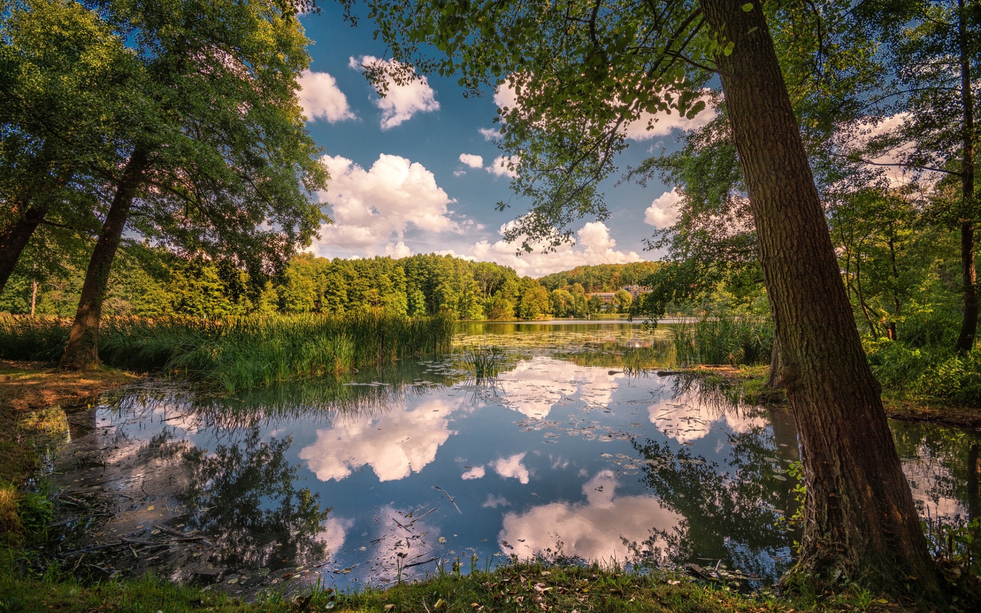Free download wallpaper Lake, Reflection, Park, Tree, Earth, Cloud on your PC desktop