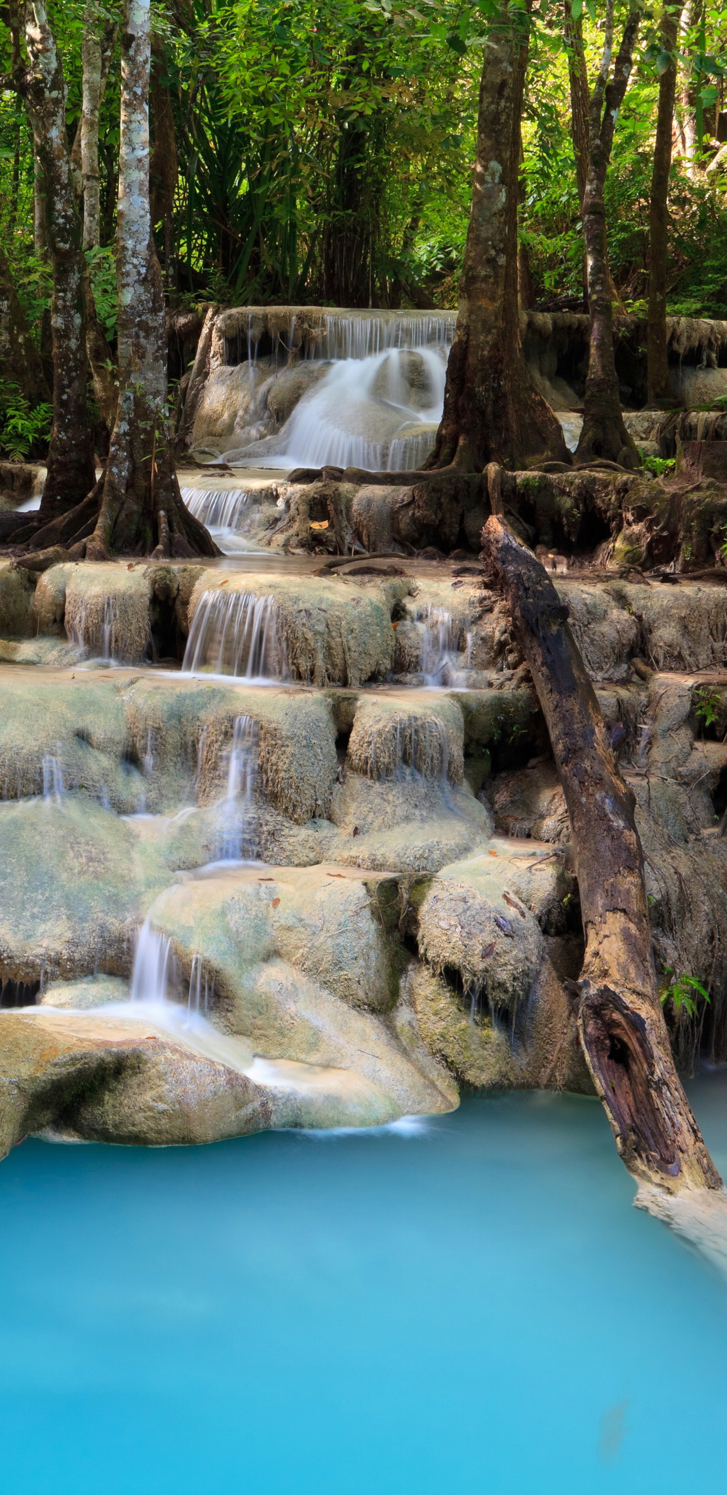 Handy-Wallpaper Natur, Wasserfälle, Wasserfall, Wald, Schaum, Erde/natur kostenlos herunterladen.