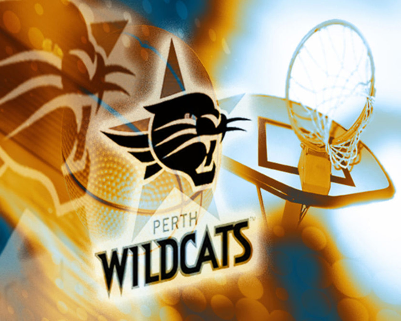 Baixar papéis de parede de desktop Perth Wildcats HD