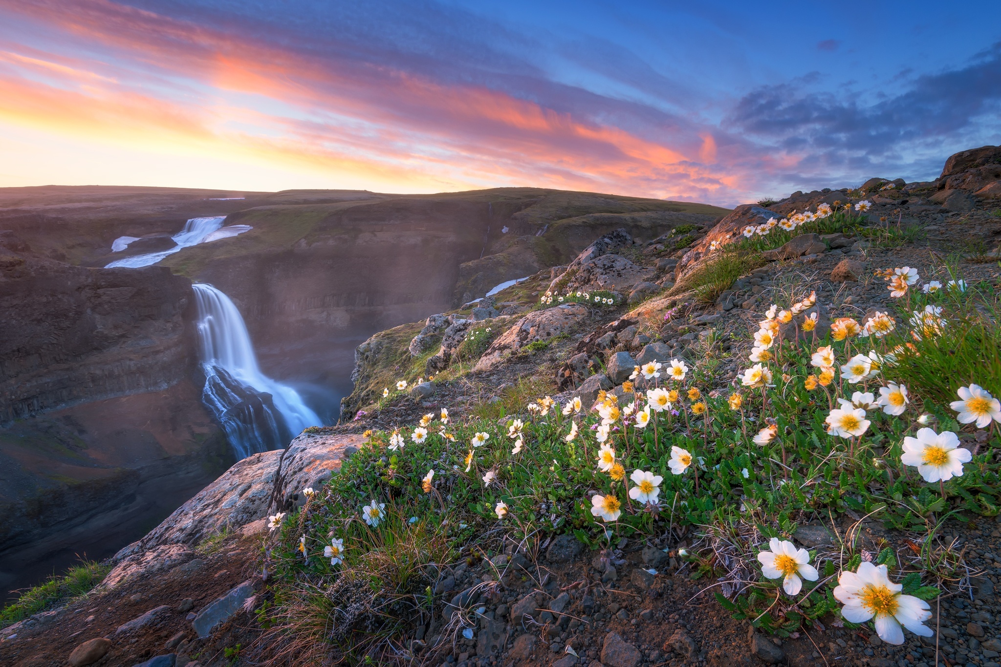Téléchargez gratuitement l'image Cascades, Fleur, Fleur Blanche, La Nature, Terre/nature, Chûte D'eau sur le bureau de votre PC